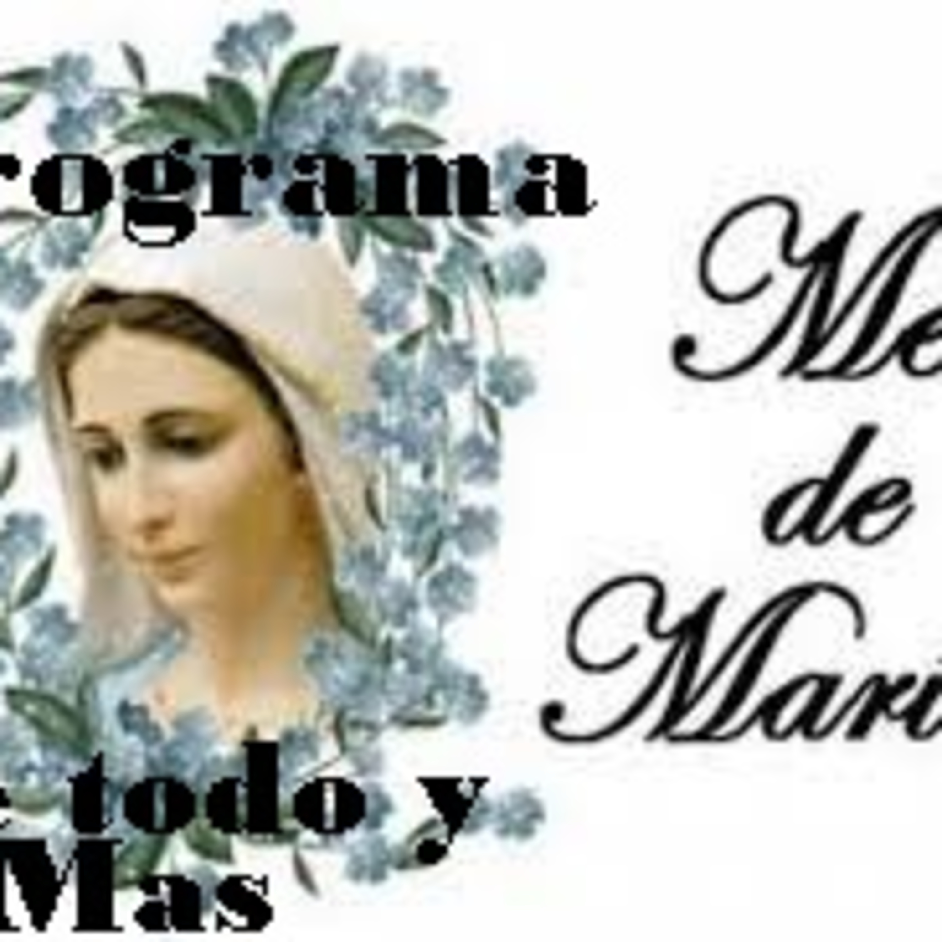 programa De todo y mas..Trayectorias artisticas,cultura y mucho mas solo aqui