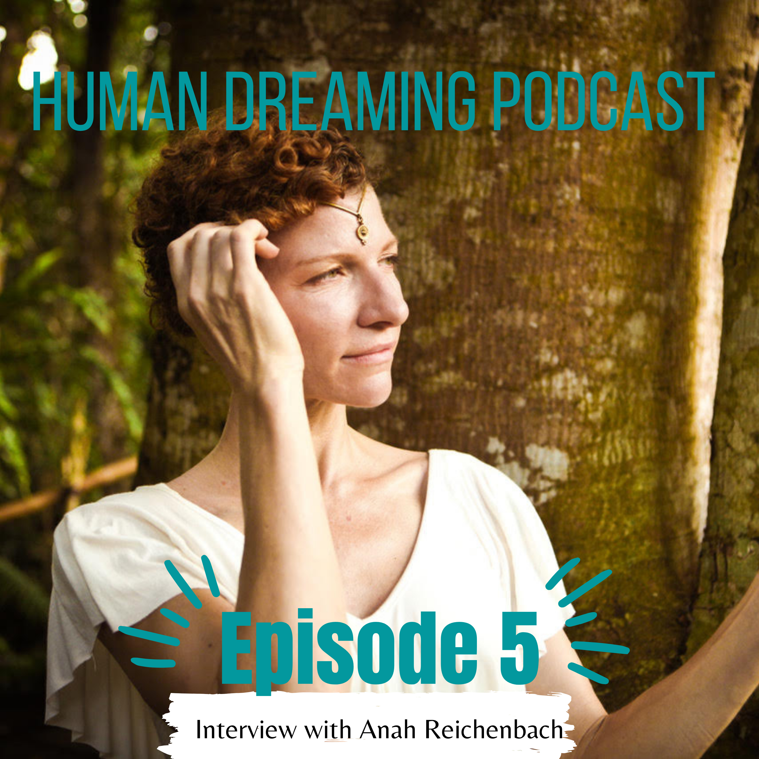 Human Dreaming