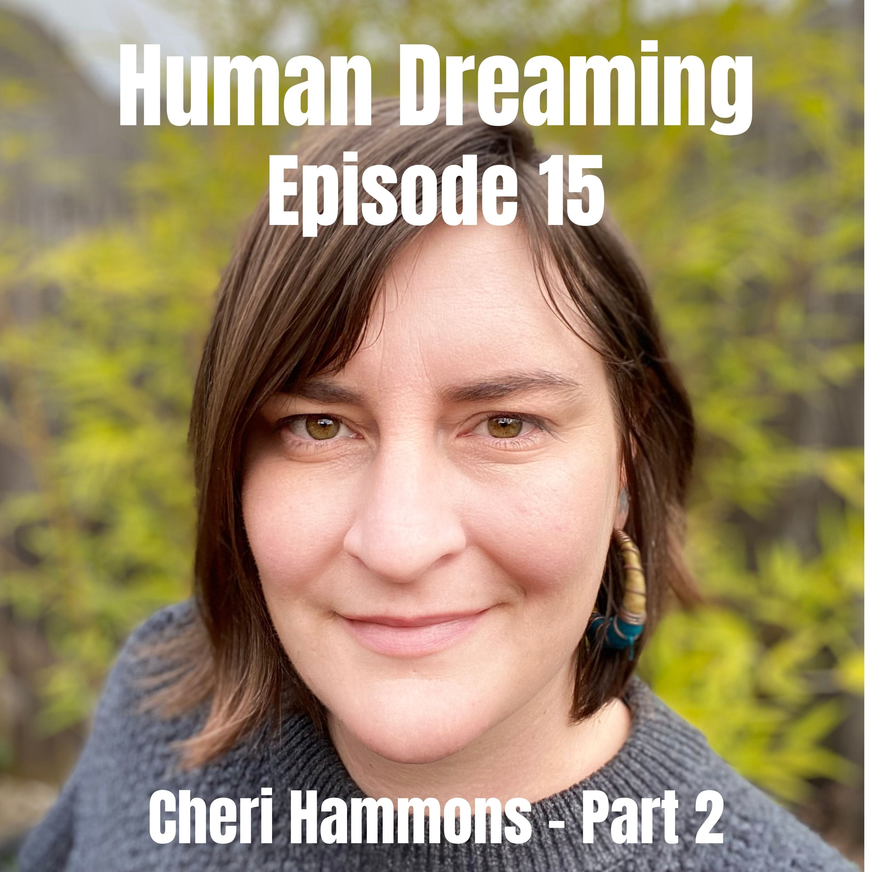 Human Dreaming
