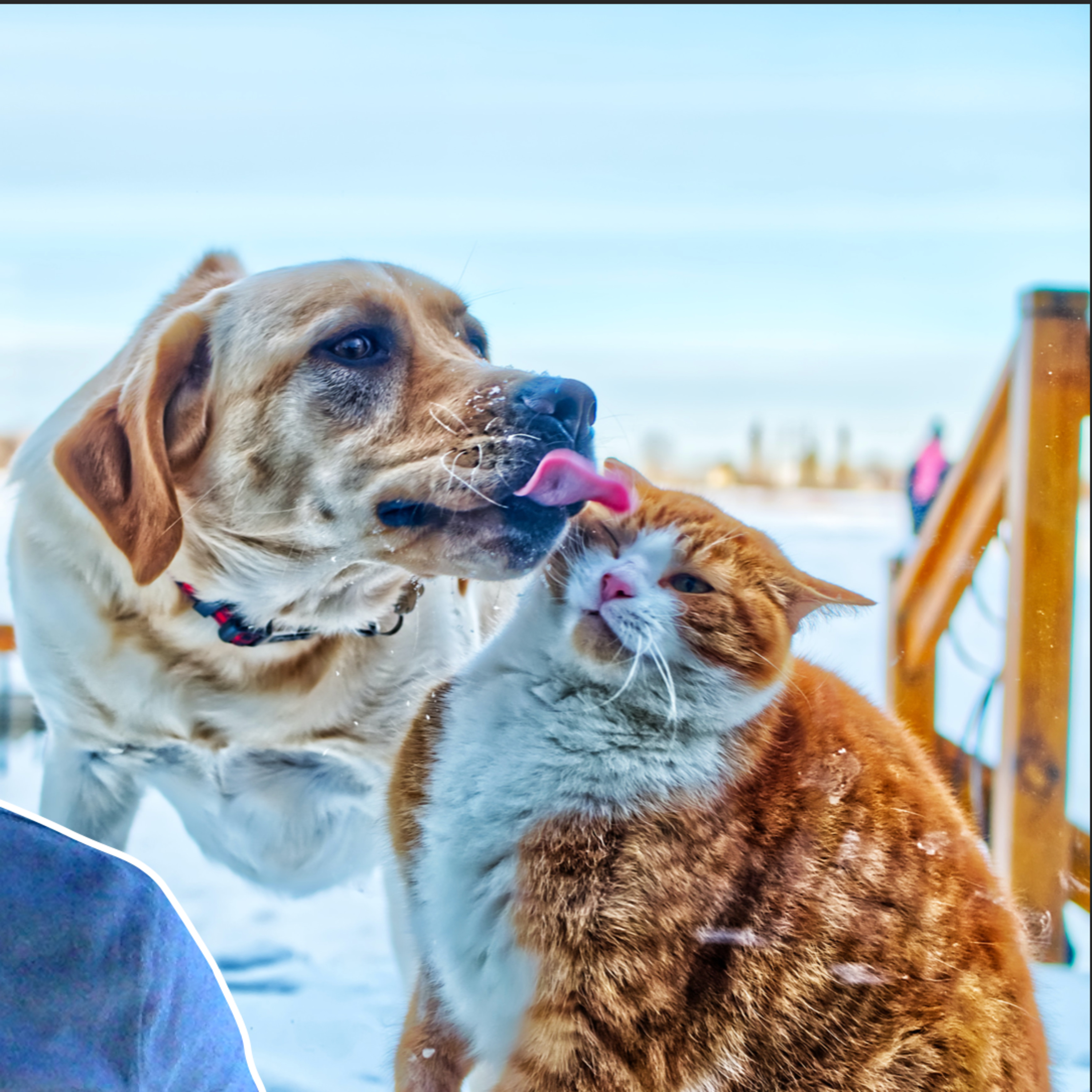 (Sur) Thriver\'s Guide to Health