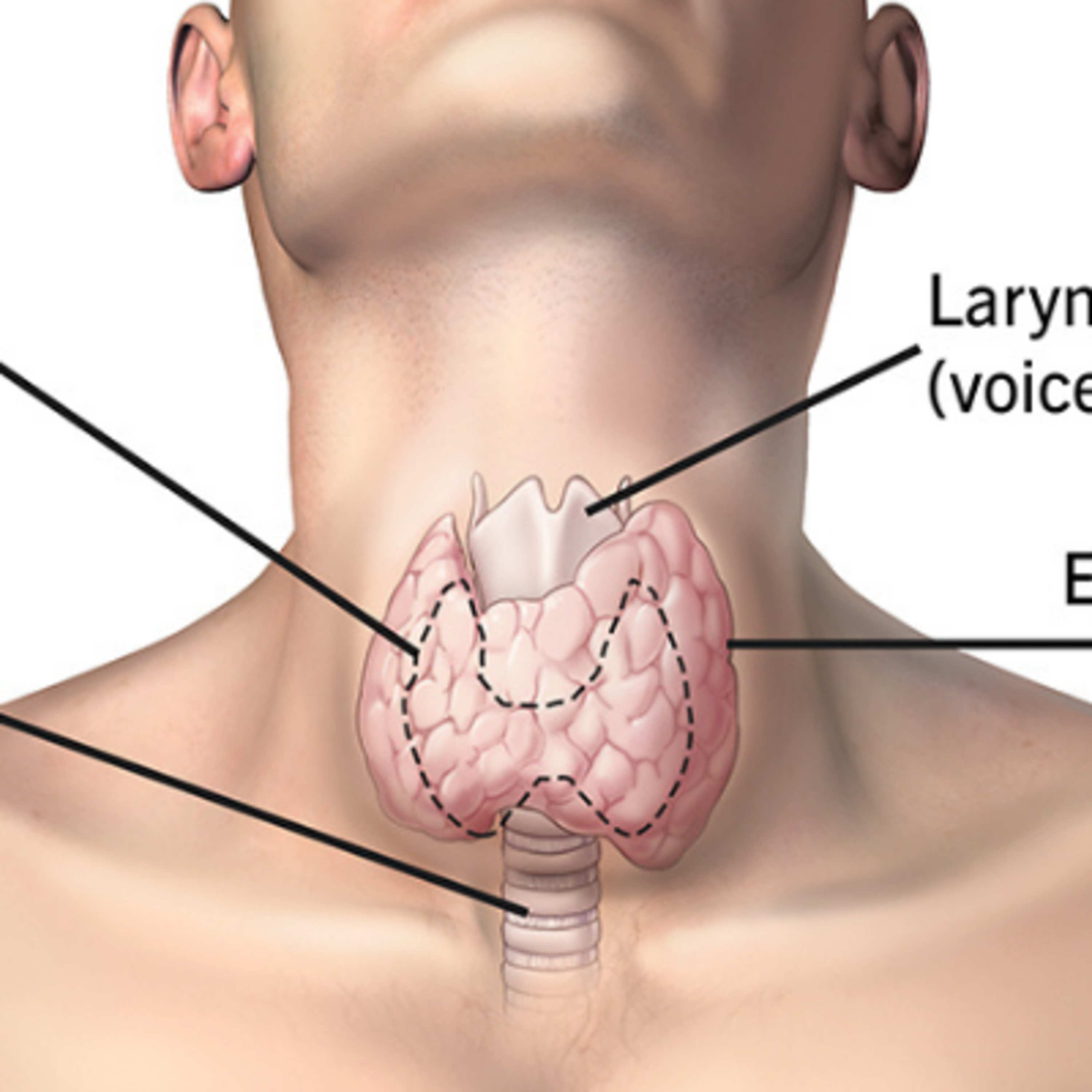 (Sur) Thriver\'s Guide to Health