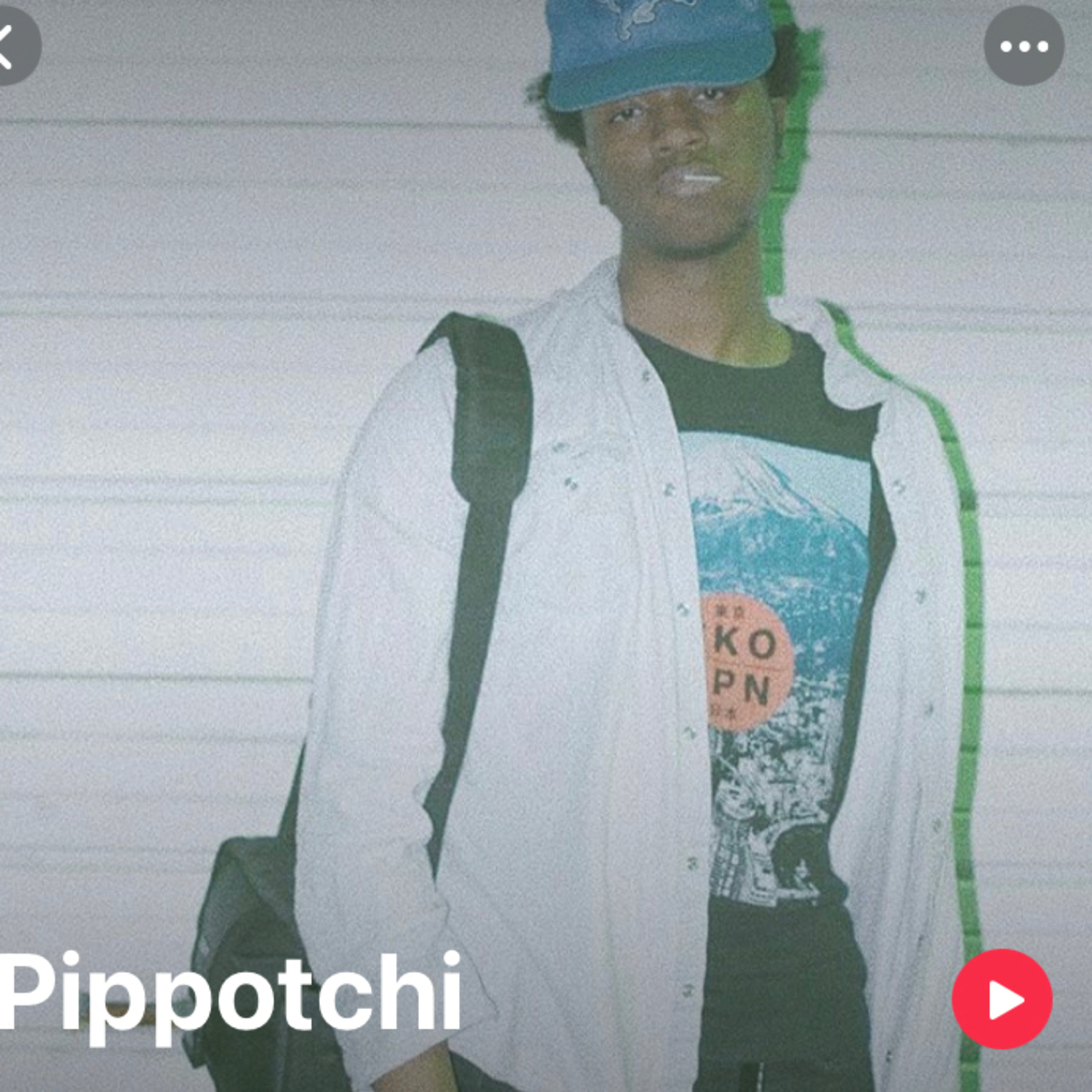 PRIMITIVE TALK WITH PIPPOTCHI episode artwork