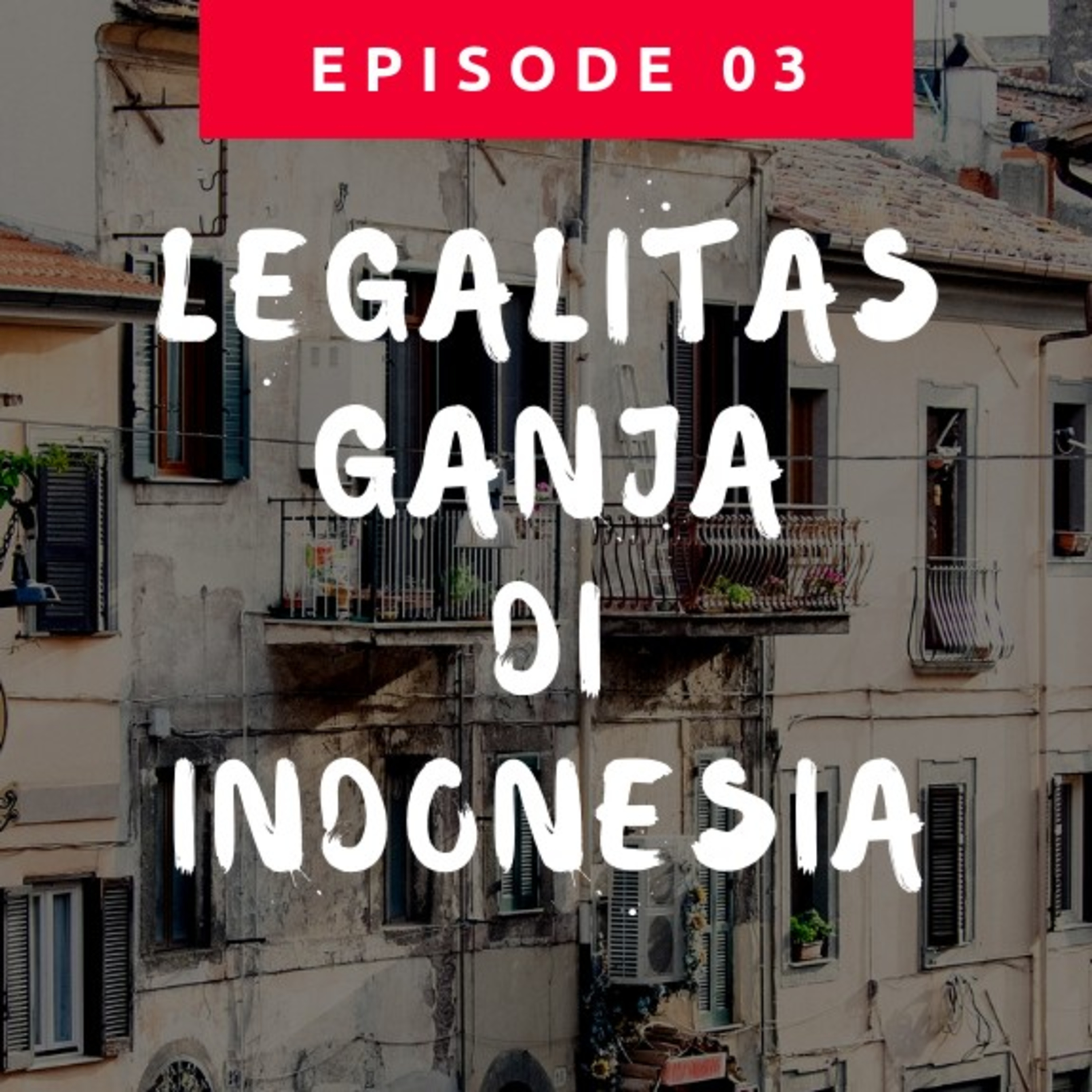 Pro & Kontra Legalisasi Ganja