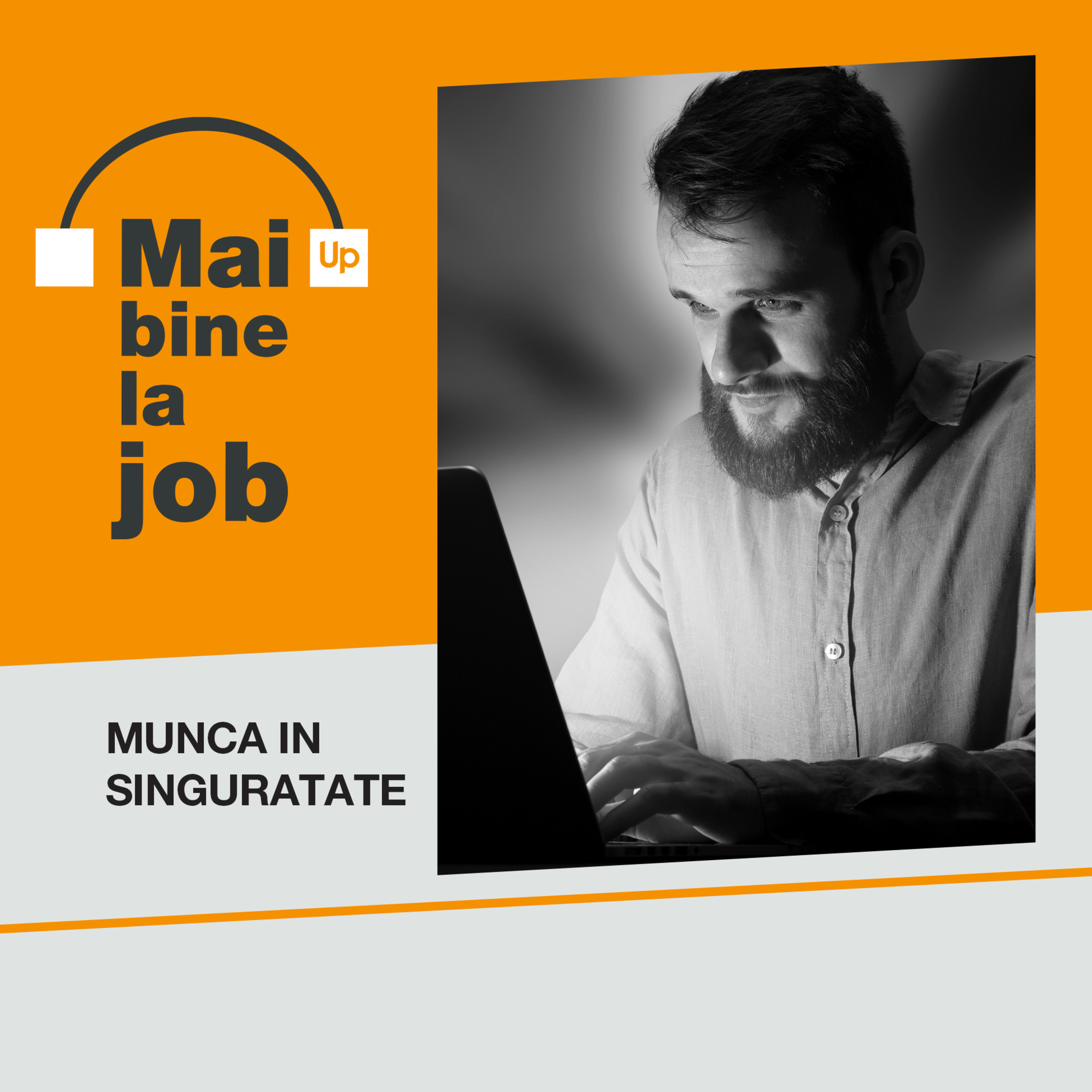 Sindromul Muncii în Singurătate episode artwork