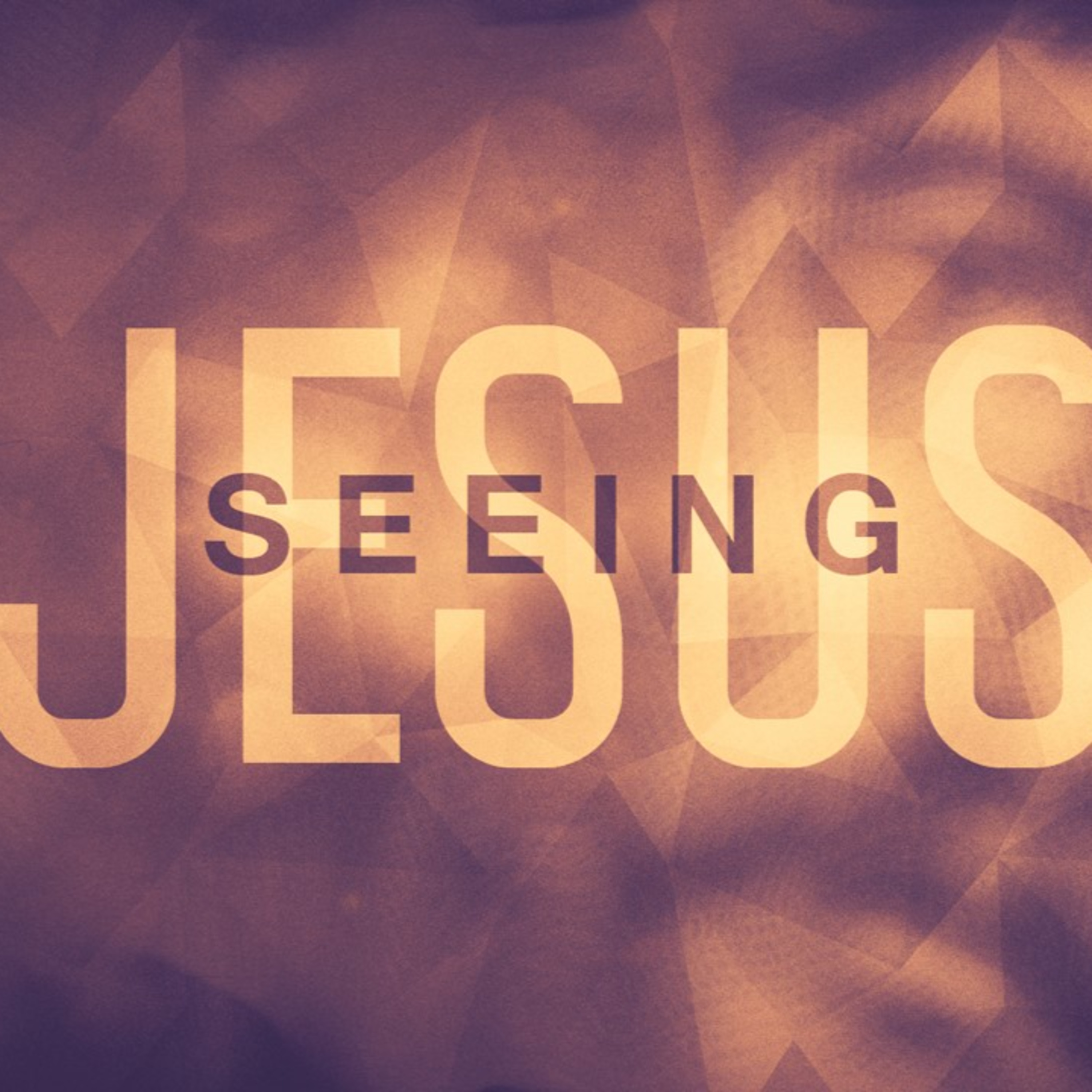 Seeing Jesus - from his prayer in John 17 episode artwork