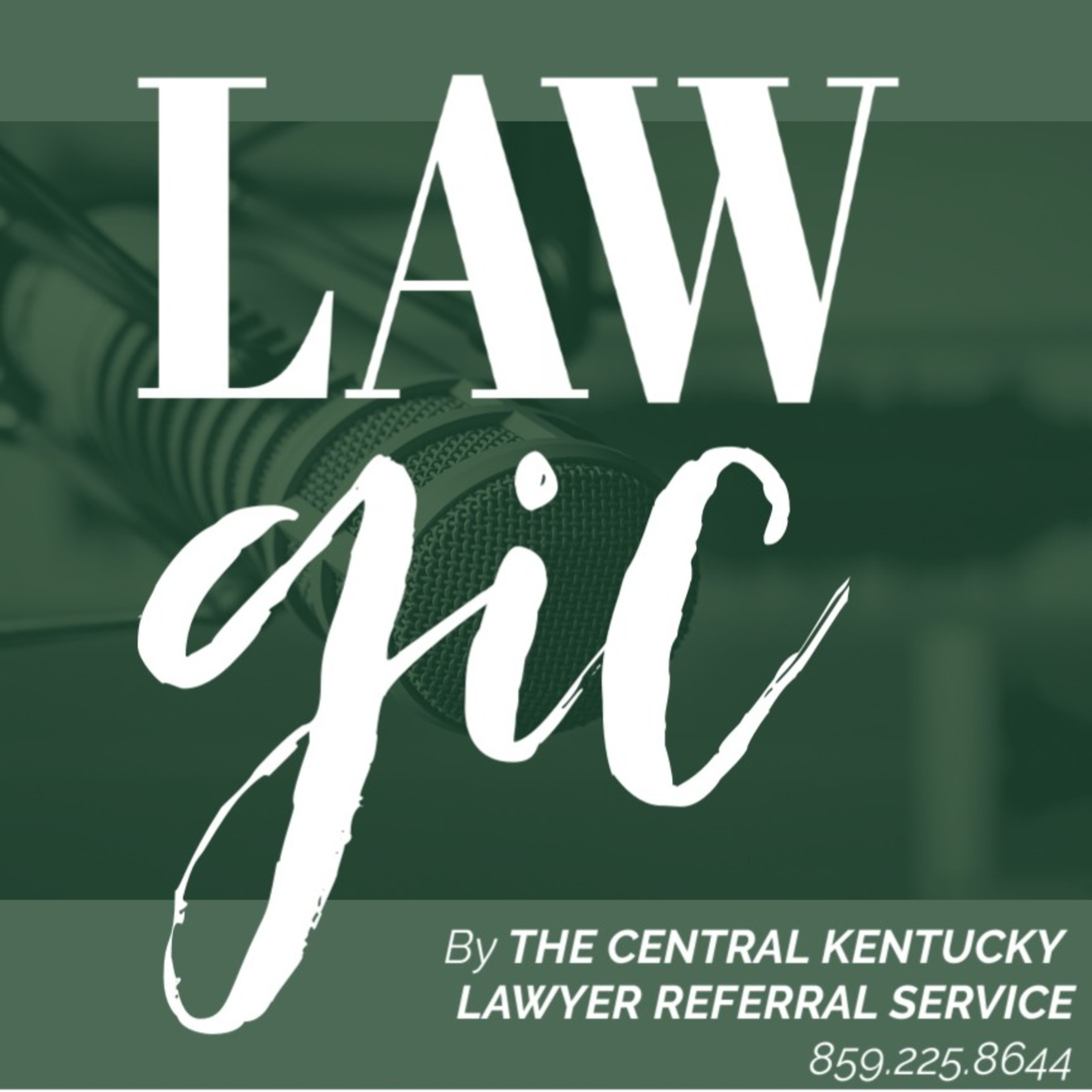 Consumer Law - Automobile Palooza w/ Stefanie Kingsley