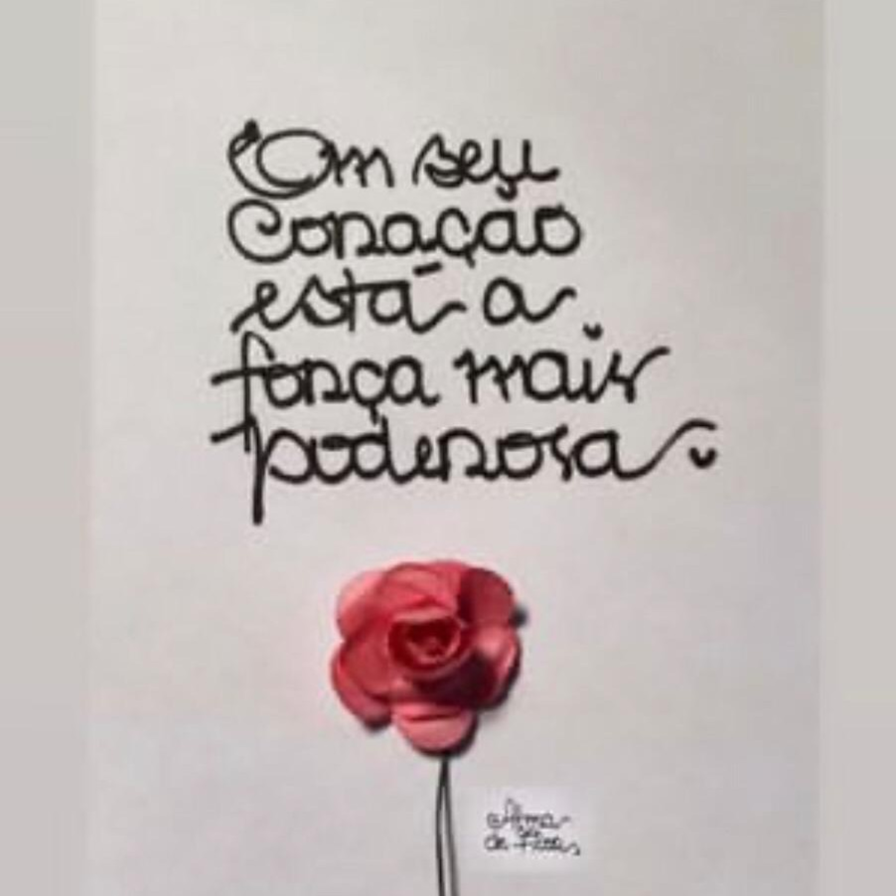 Alma de Flor - 8 episode artwork