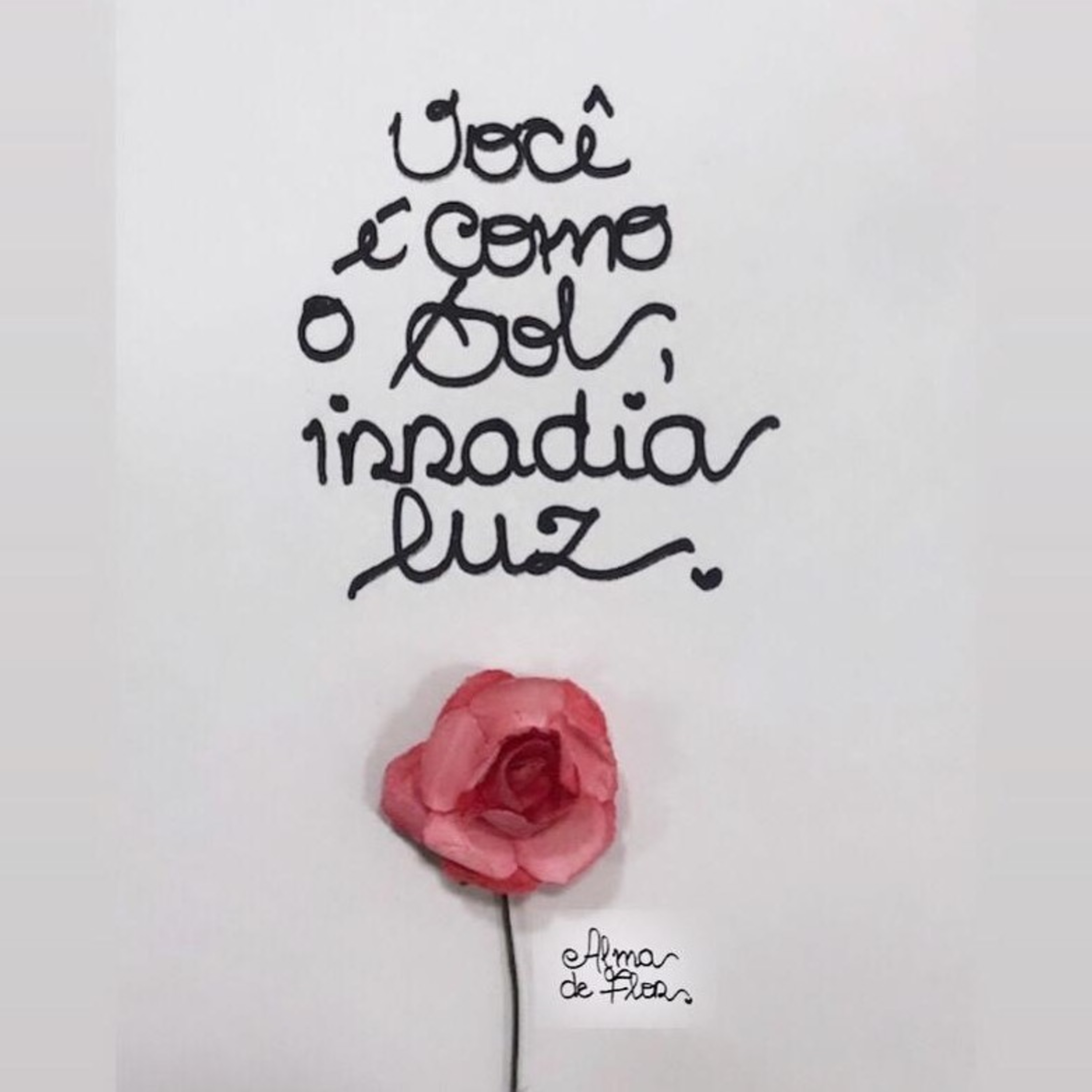 Alma de Flor - 11 episode artwork