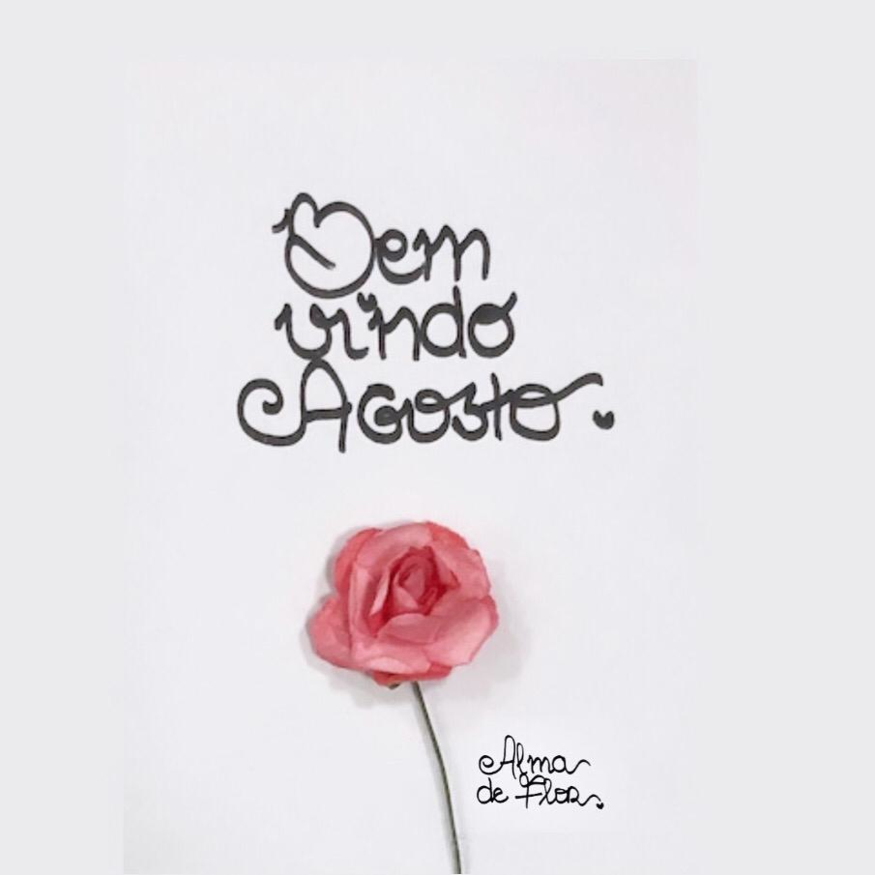 Alma de Flor - 12 episode artwork