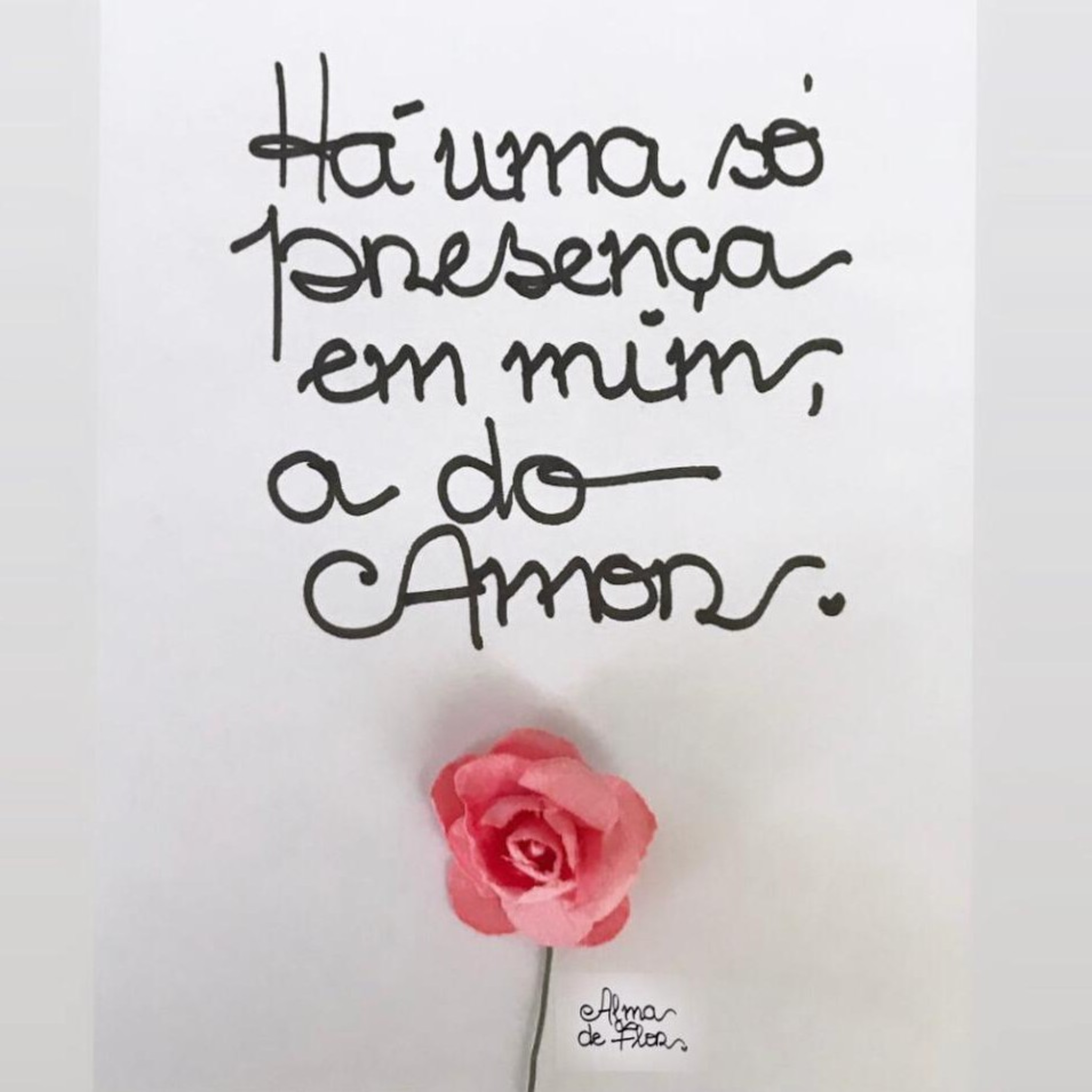 Alma de Flor - 13 episode artwork