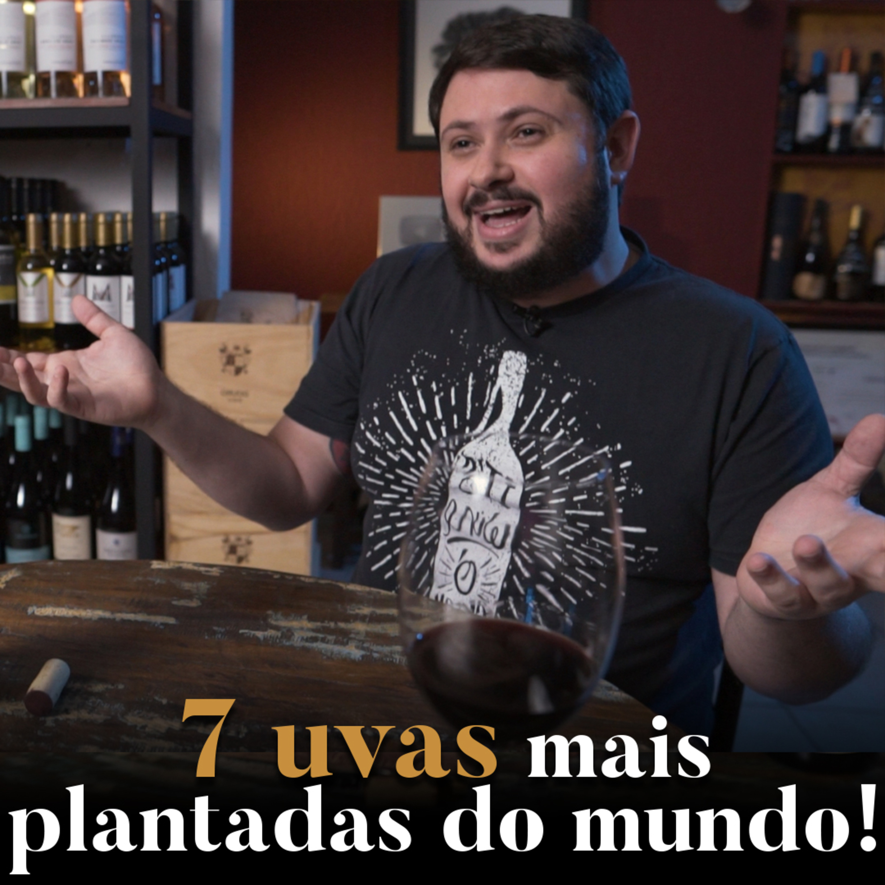 Vinhos de Bicicleta