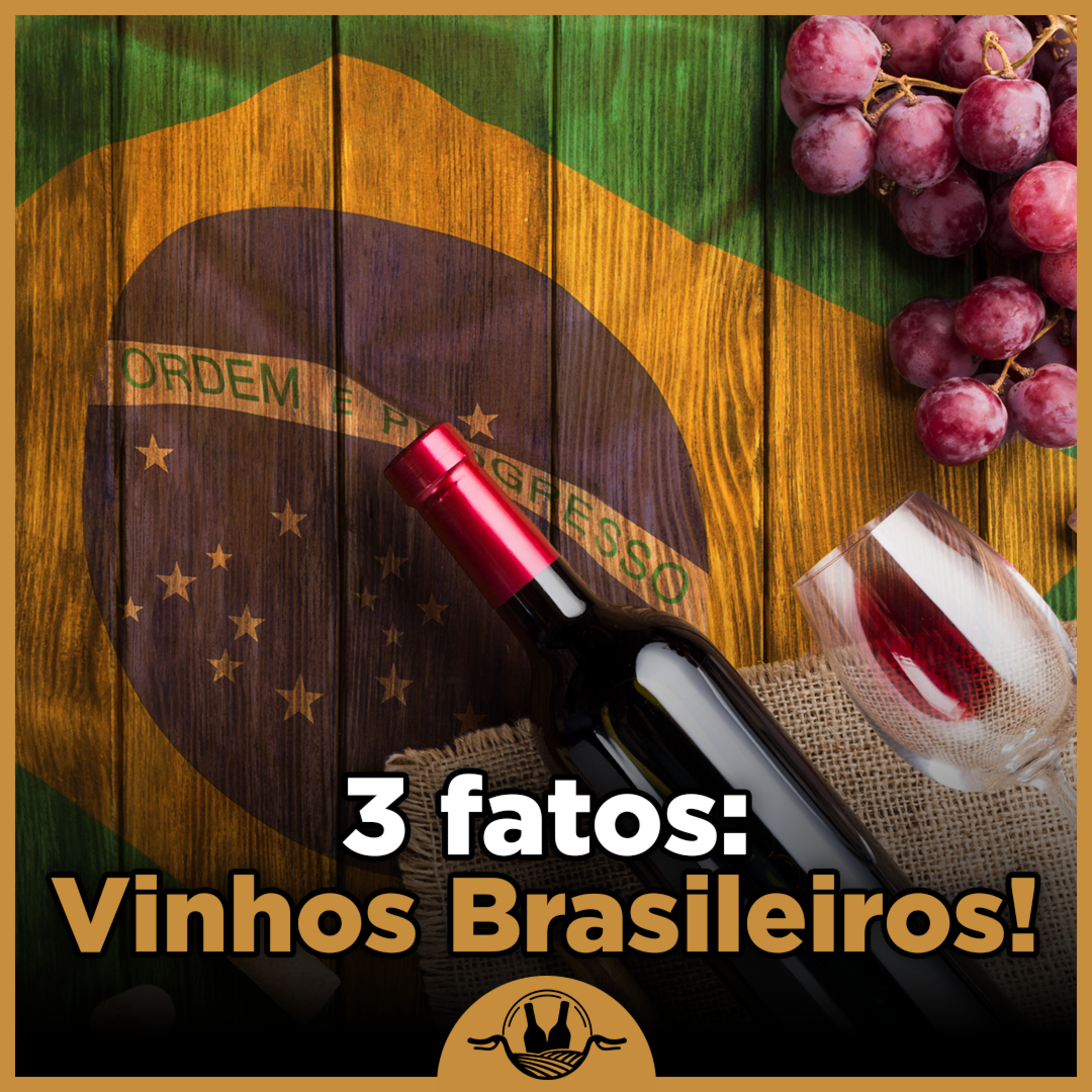 Vinhos de Bicicleta