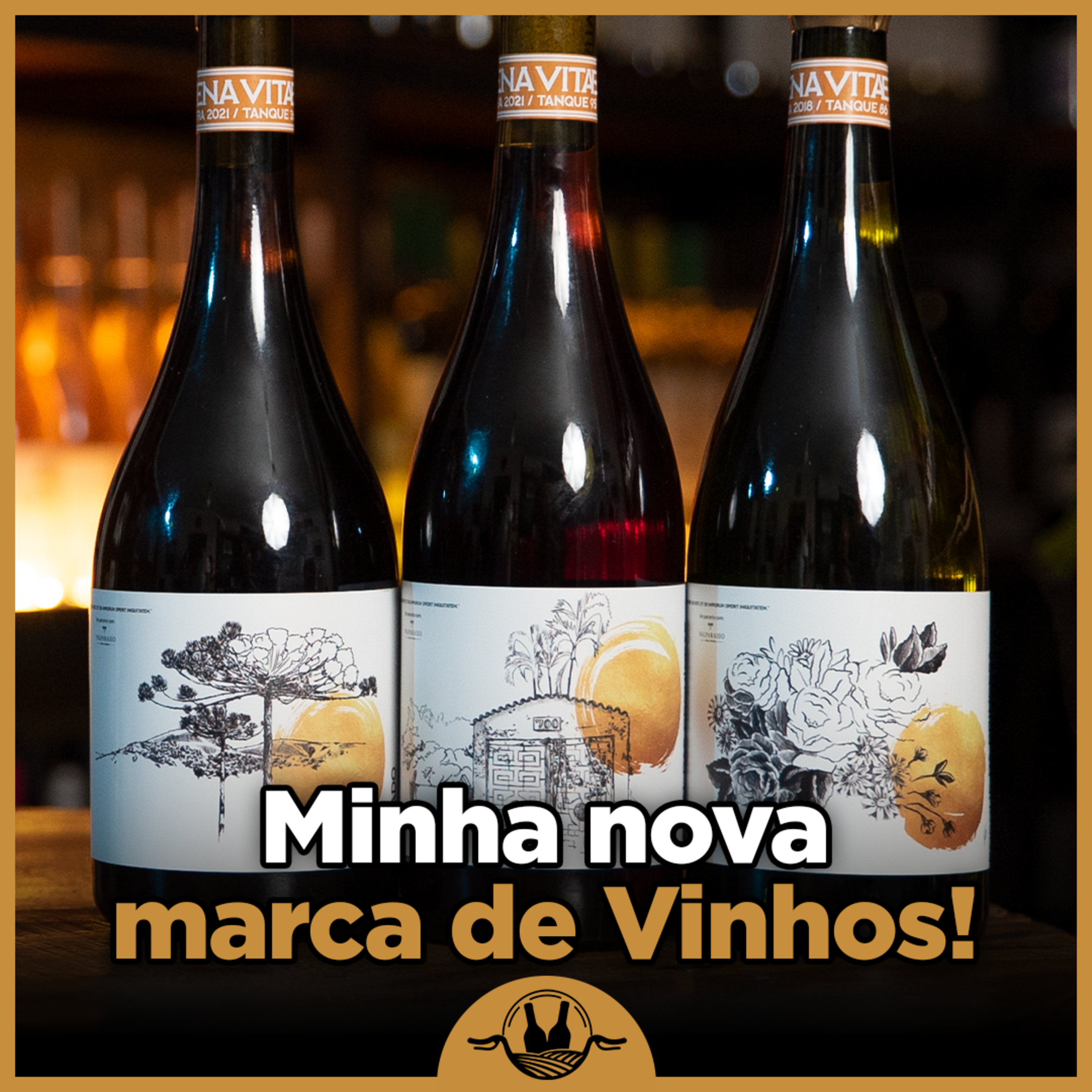 Vinhos de Bicicleta