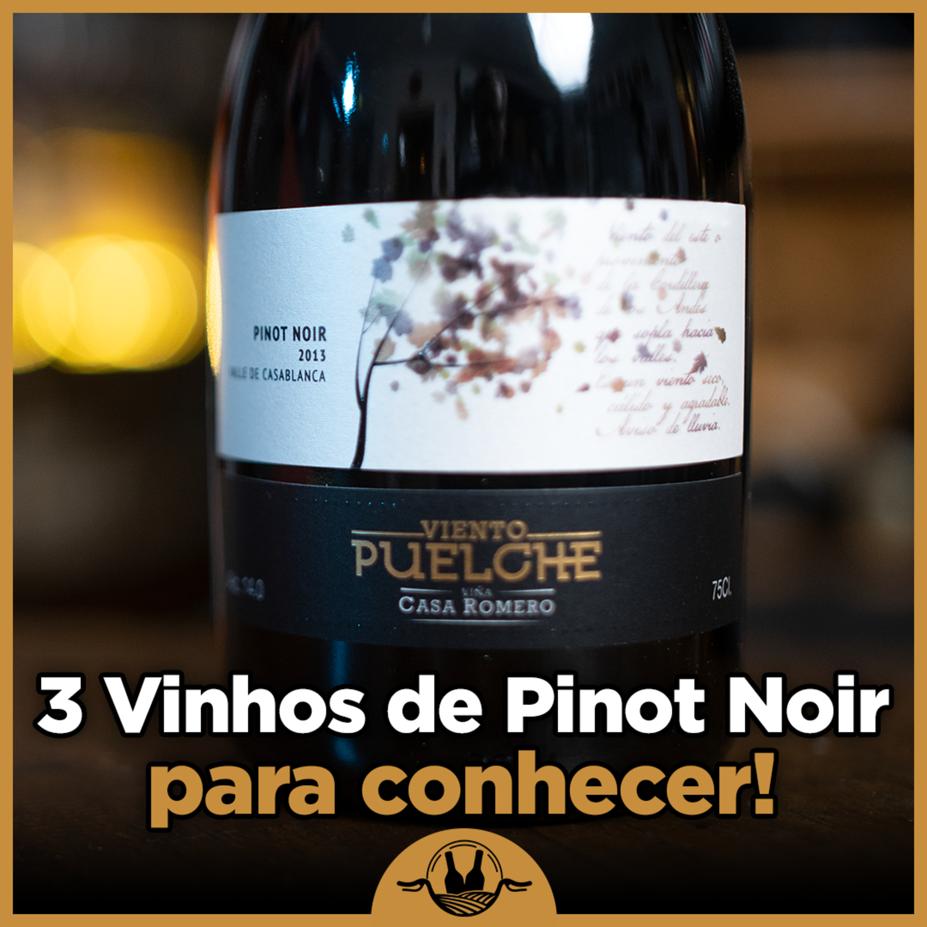 Vinhos de Bicicleta