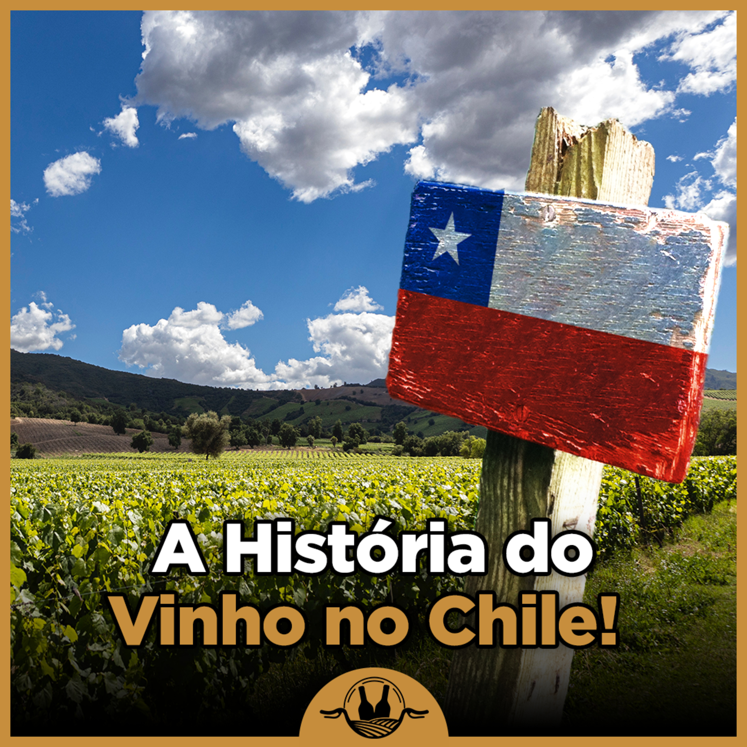 Vinhos de Bicicleta