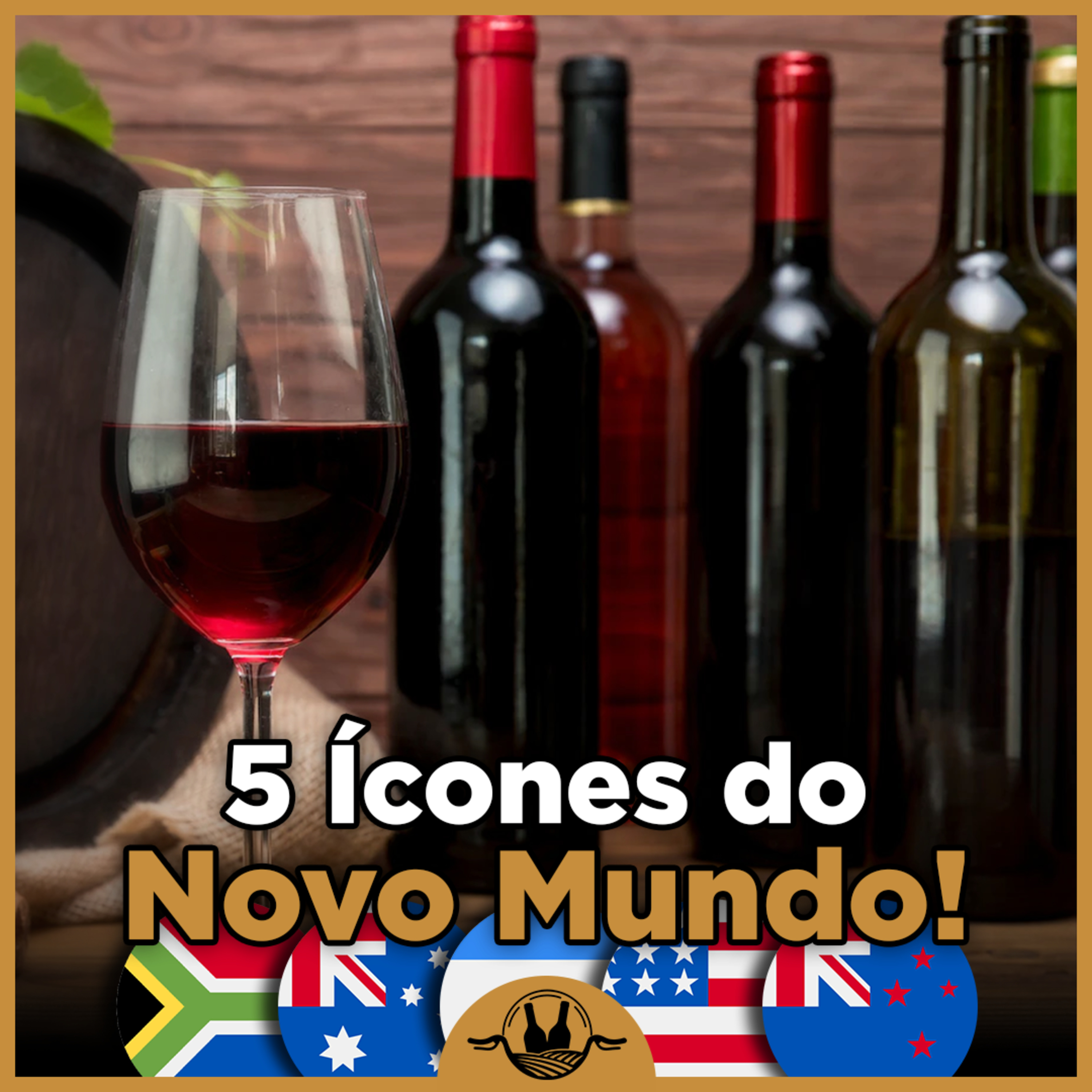 Vinhos de Bicicleta