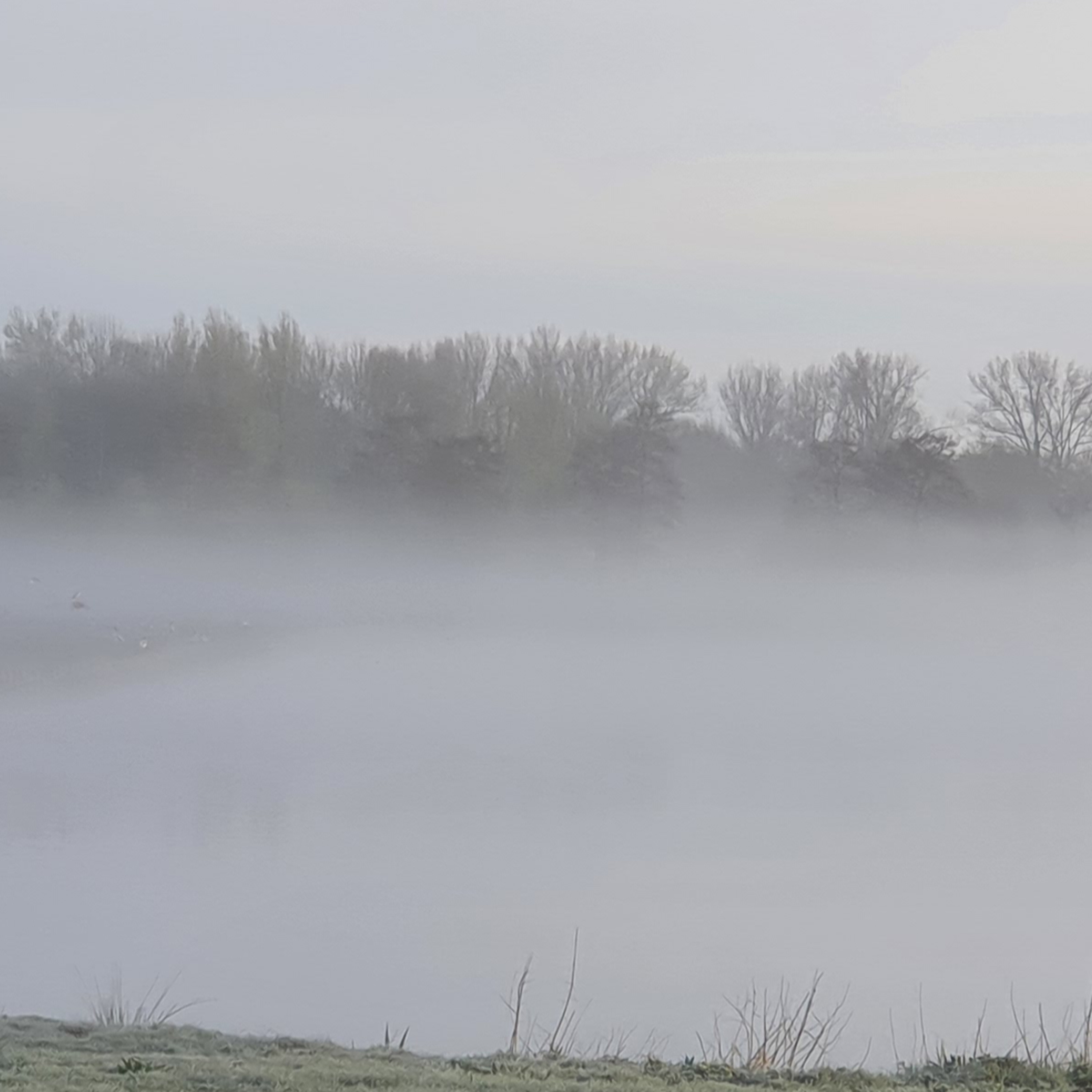 Meditatie 5 min Wolkje aan de lucht episode artwork