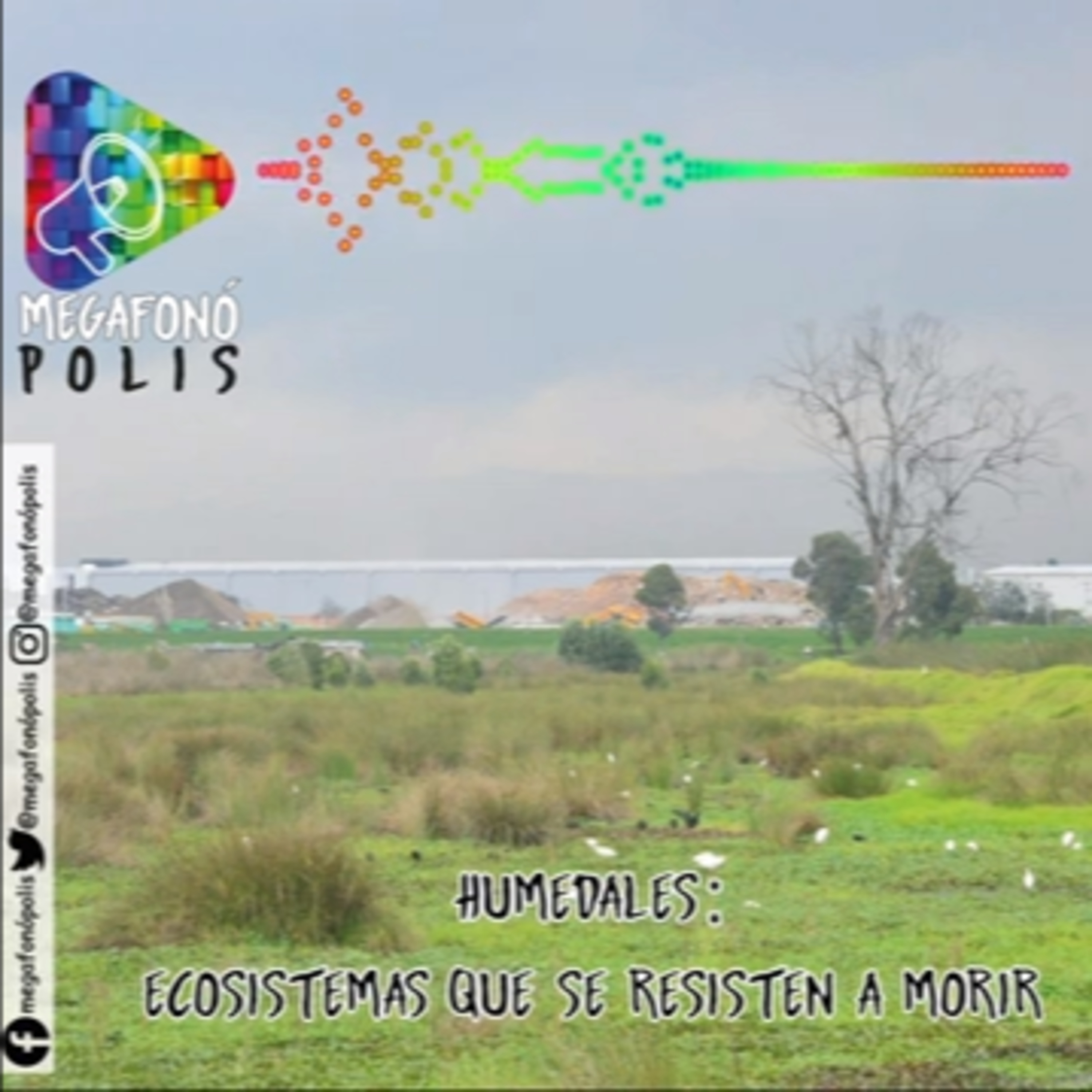 MEGAFONÓPOLIS