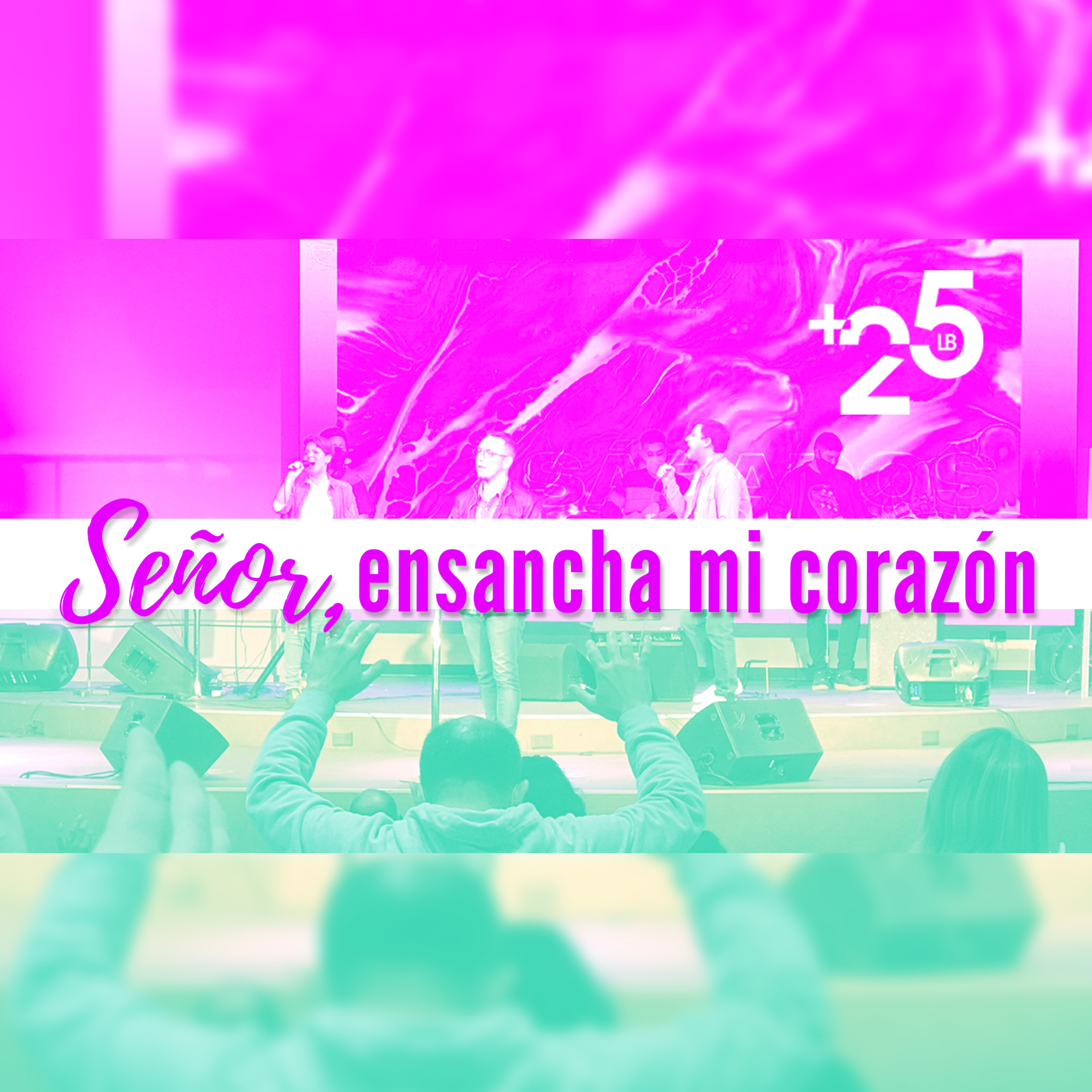 PDDMAS25