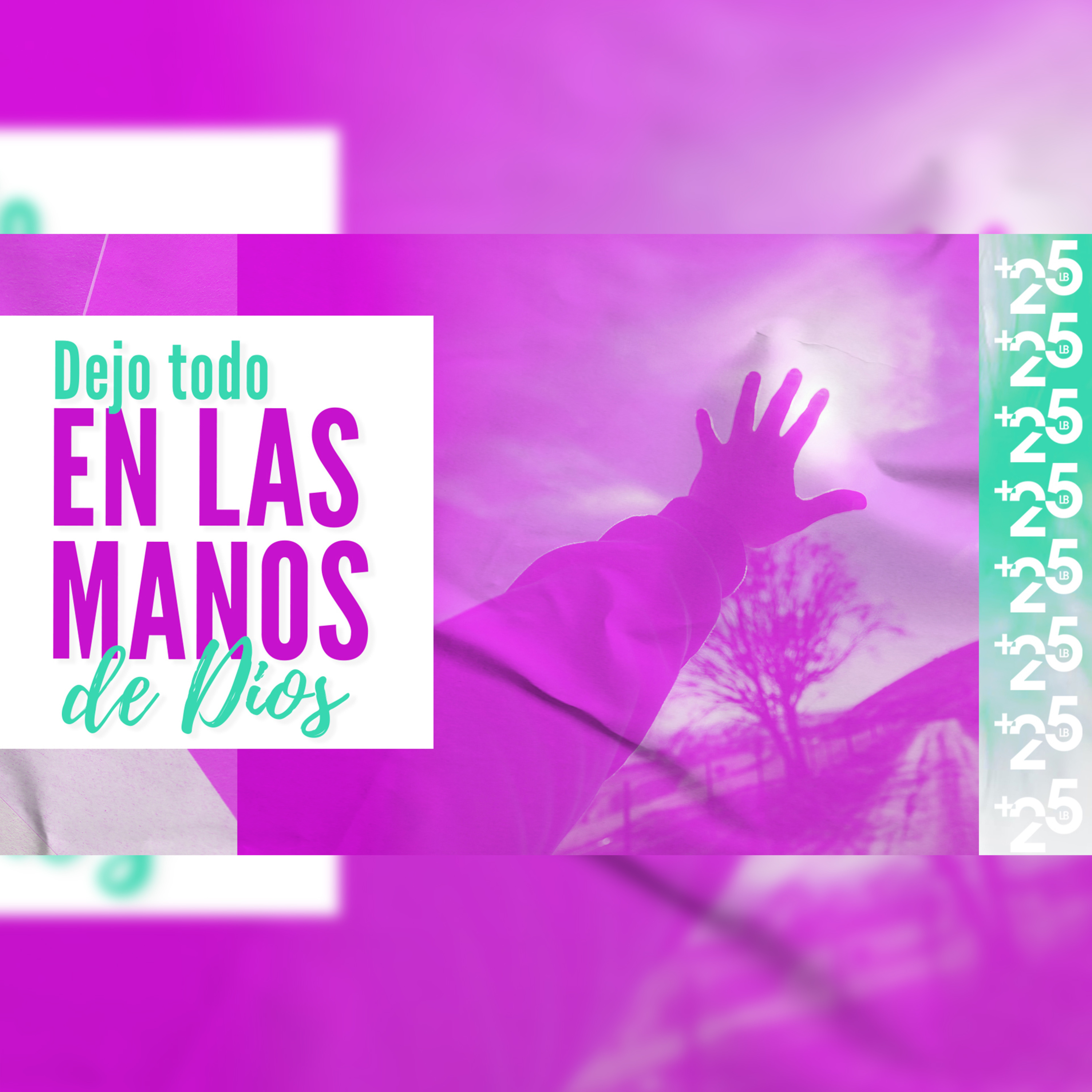 PDDMAS25