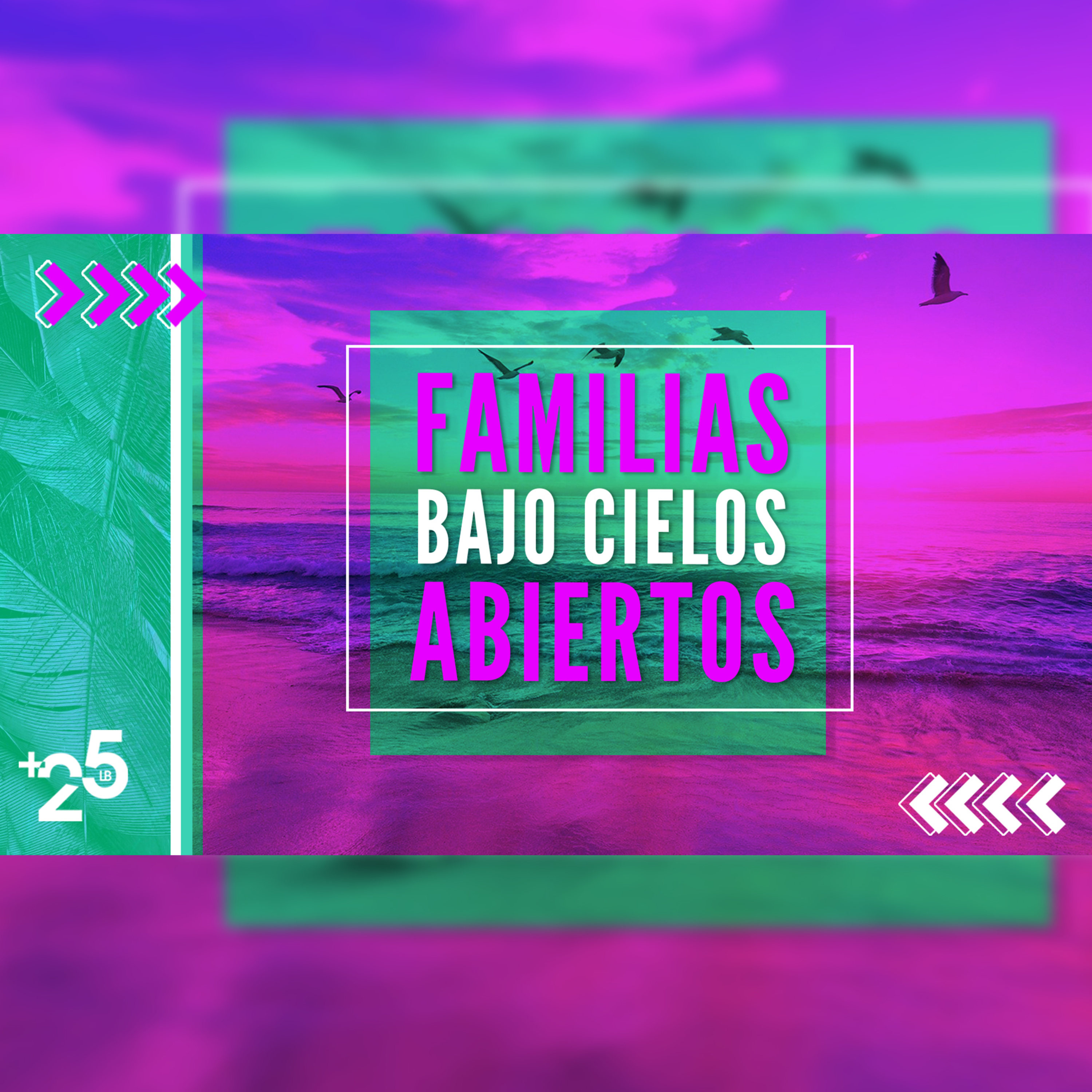 PDDMAS25