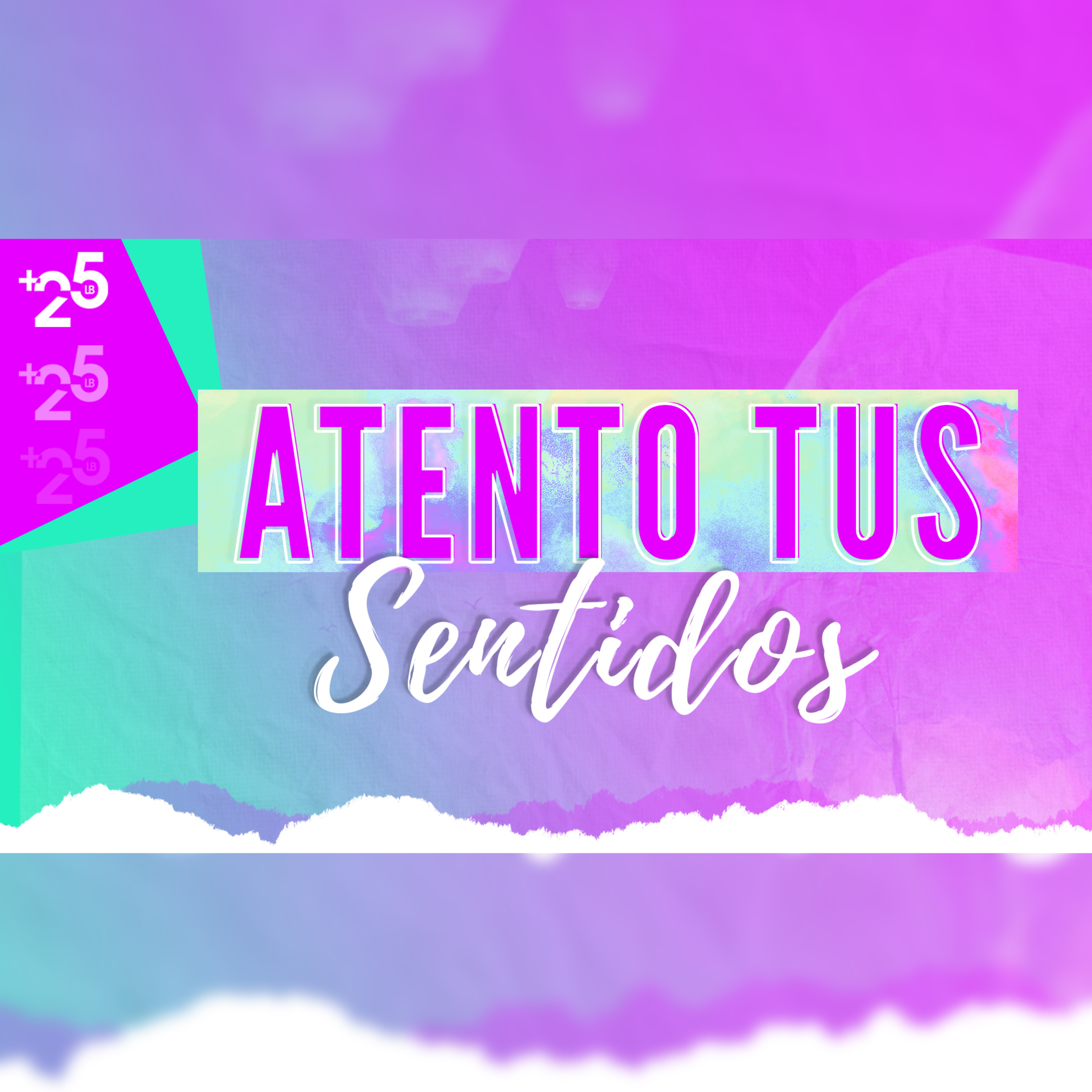 PDDMAS25