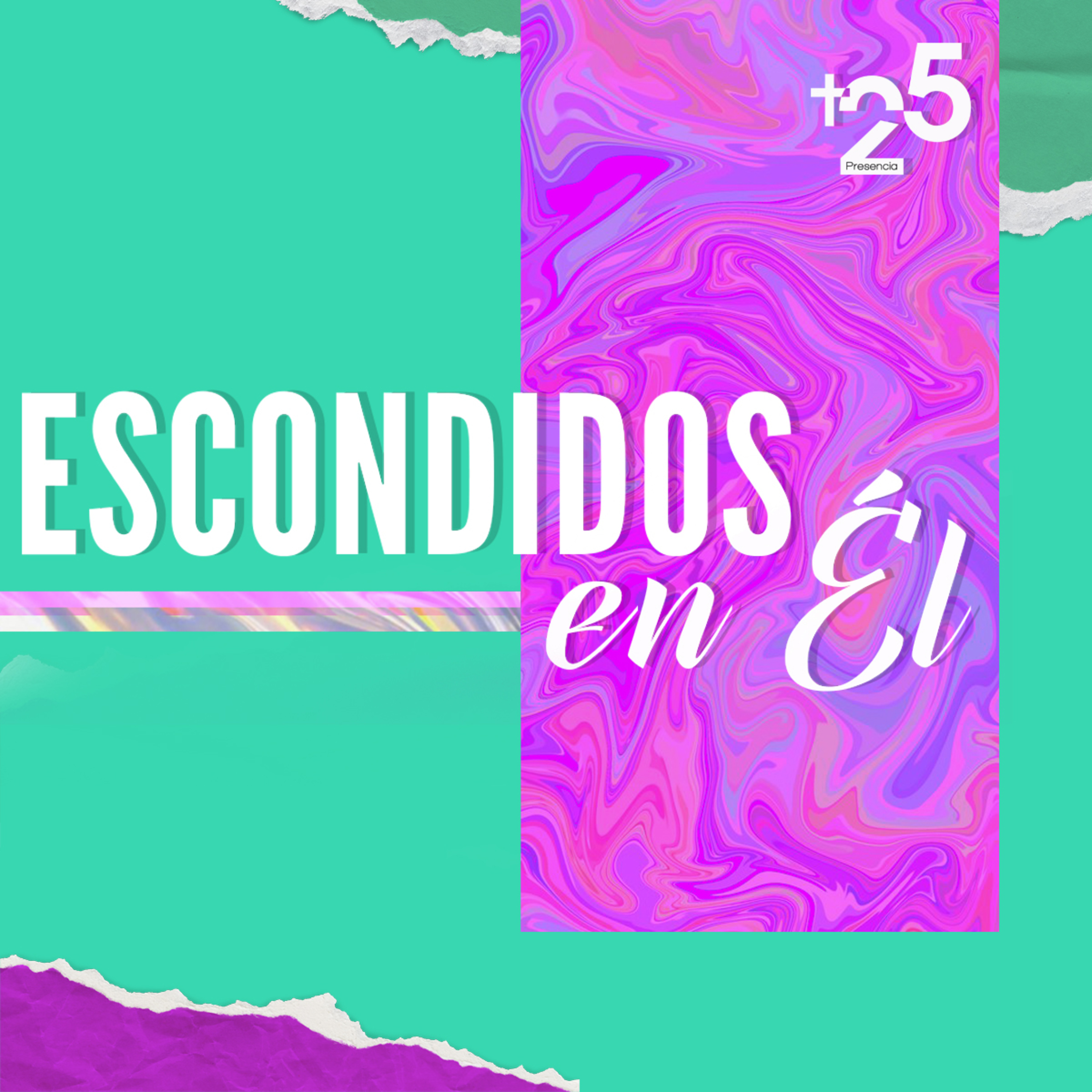 Portada de PDDMAS25