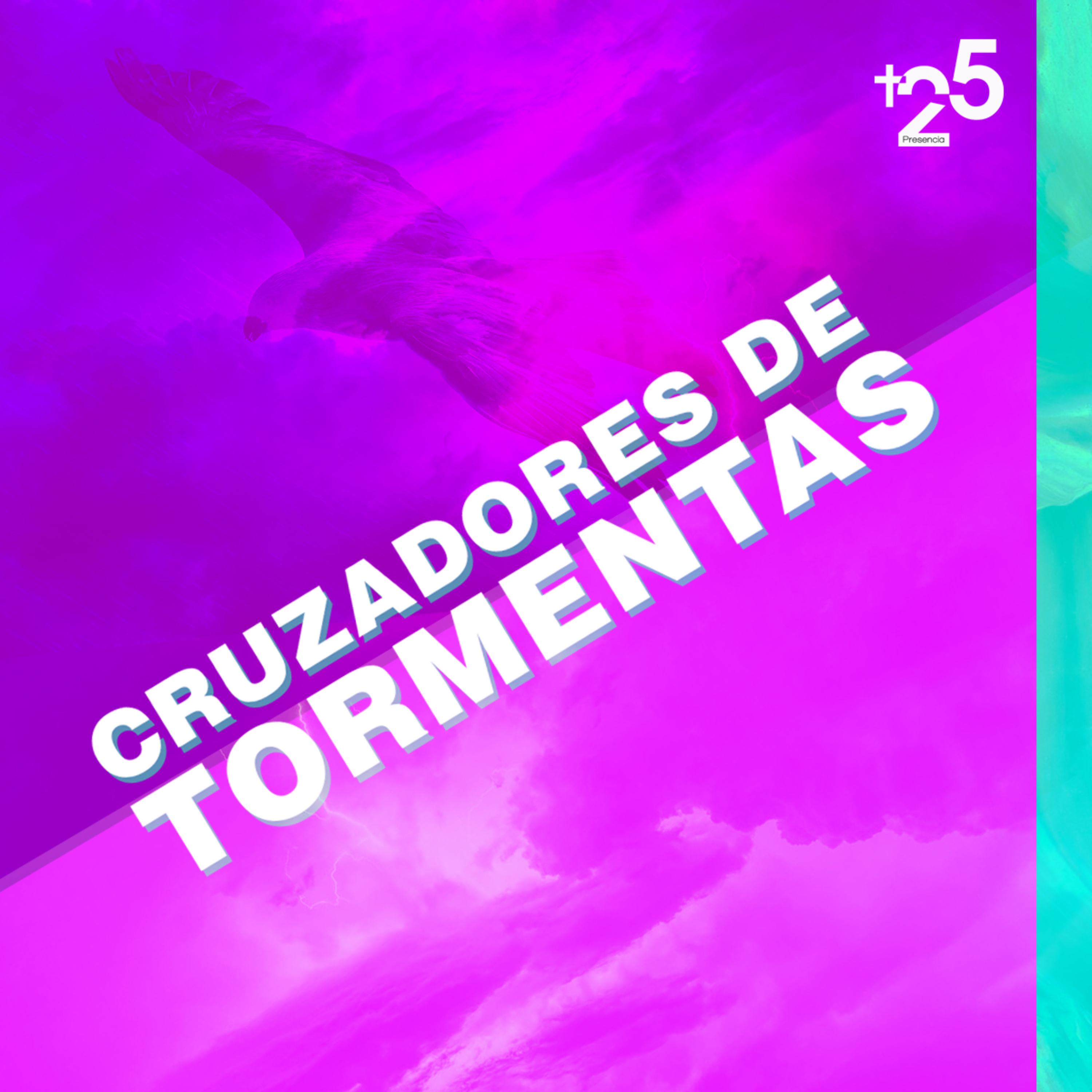 Portada de PDDMAS25
