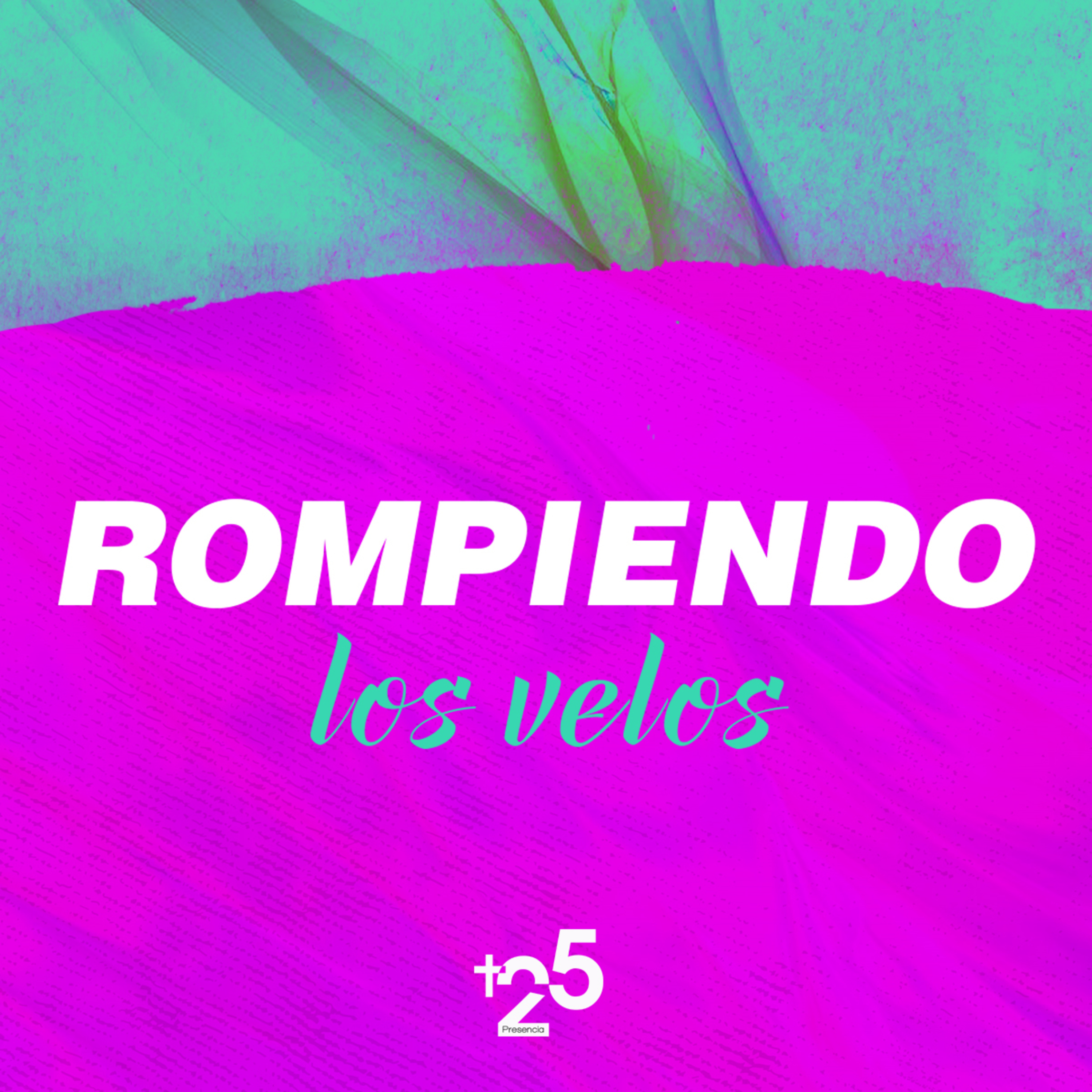 Portada de PDDMAS25