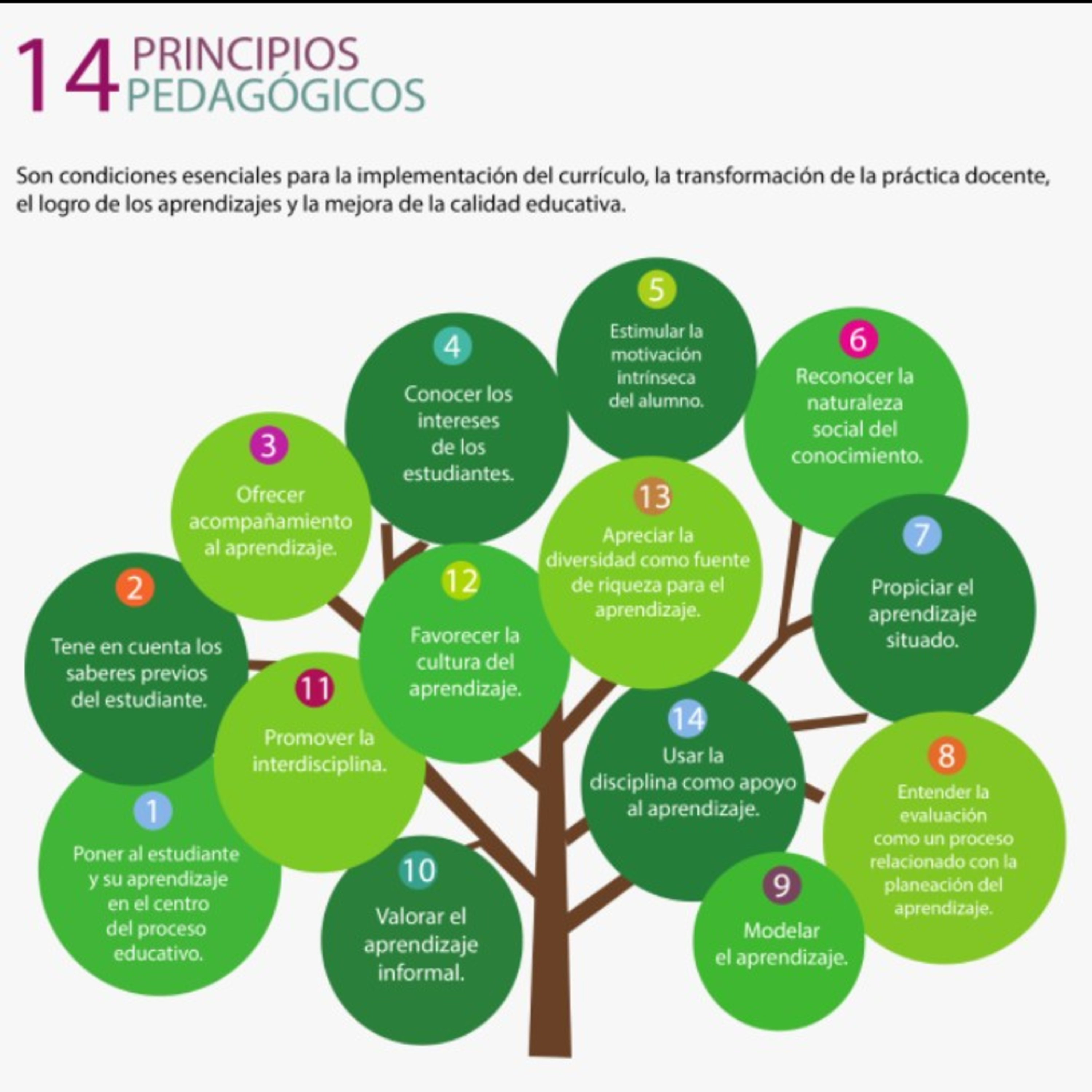 Acuerdo 12/10/17 - Los 14 principios pedagógicos. episode artwork
