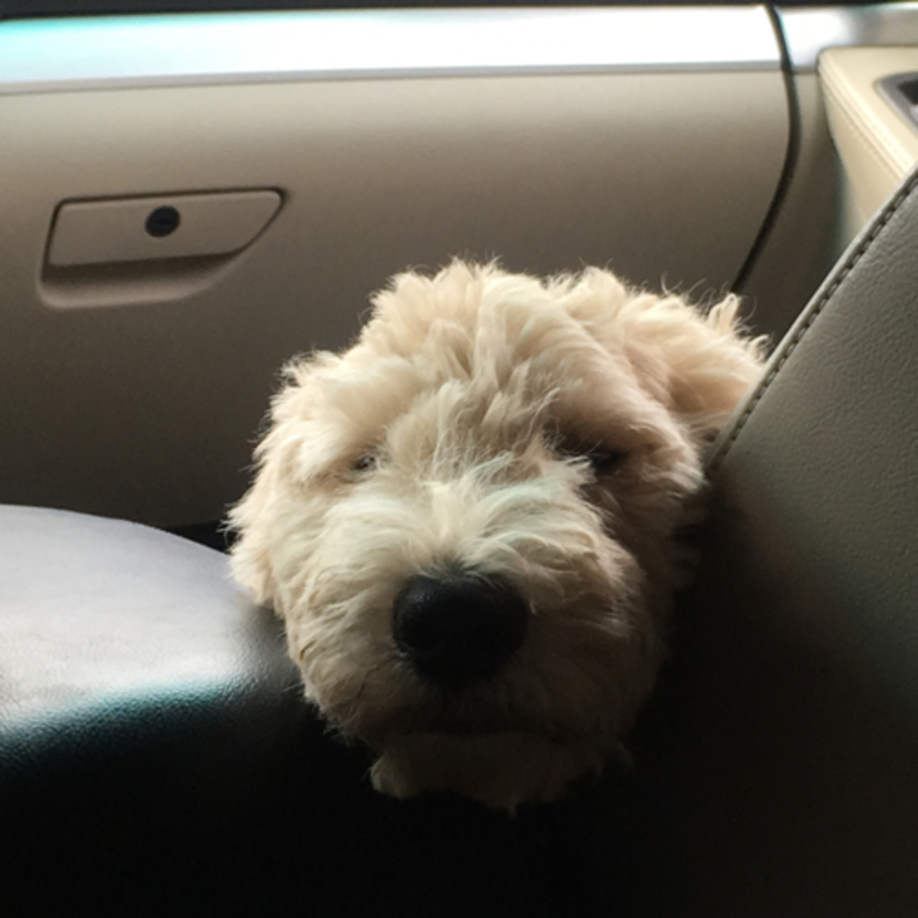 Adventures of MNM intro