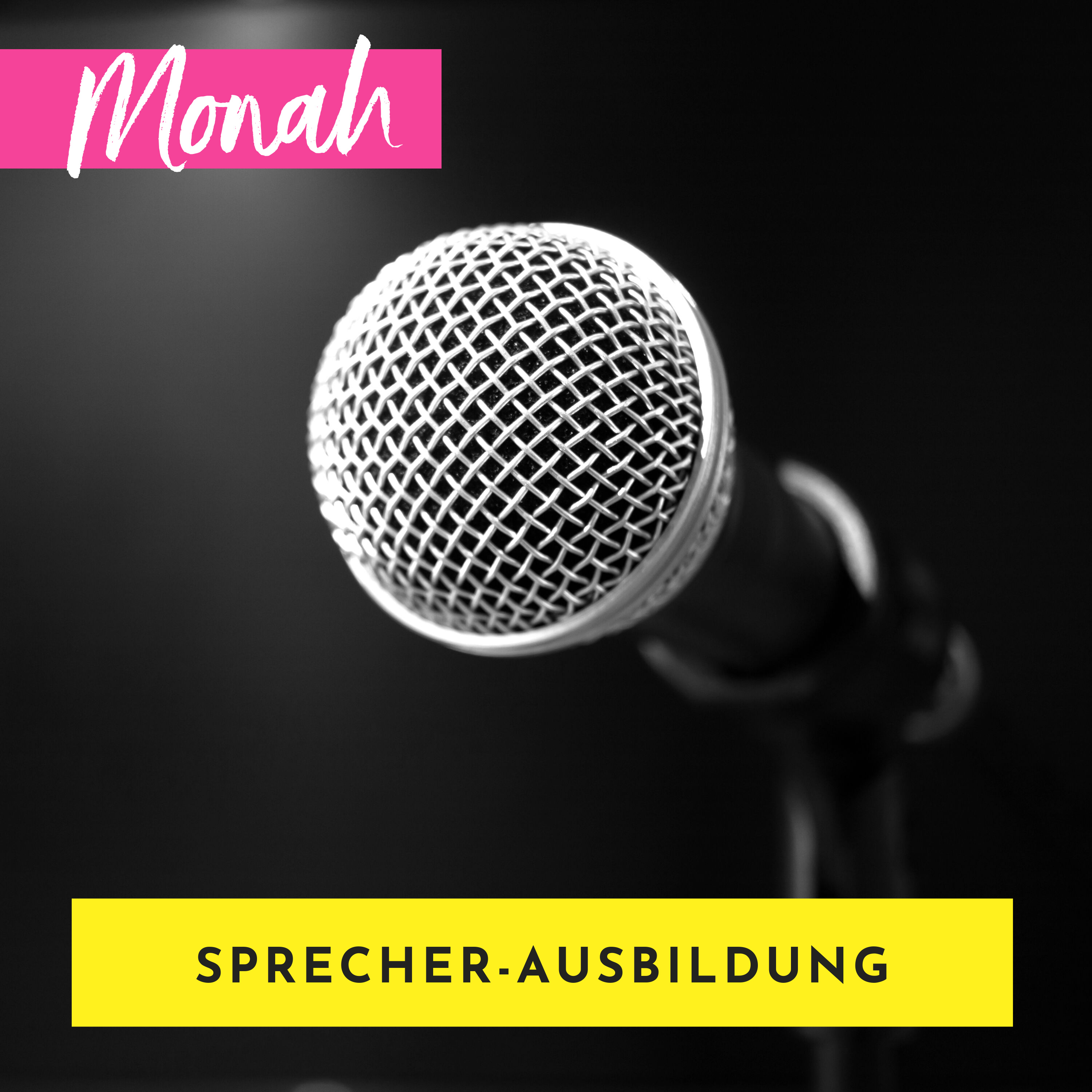 Ausbildung zur Sprecherin mit Monah