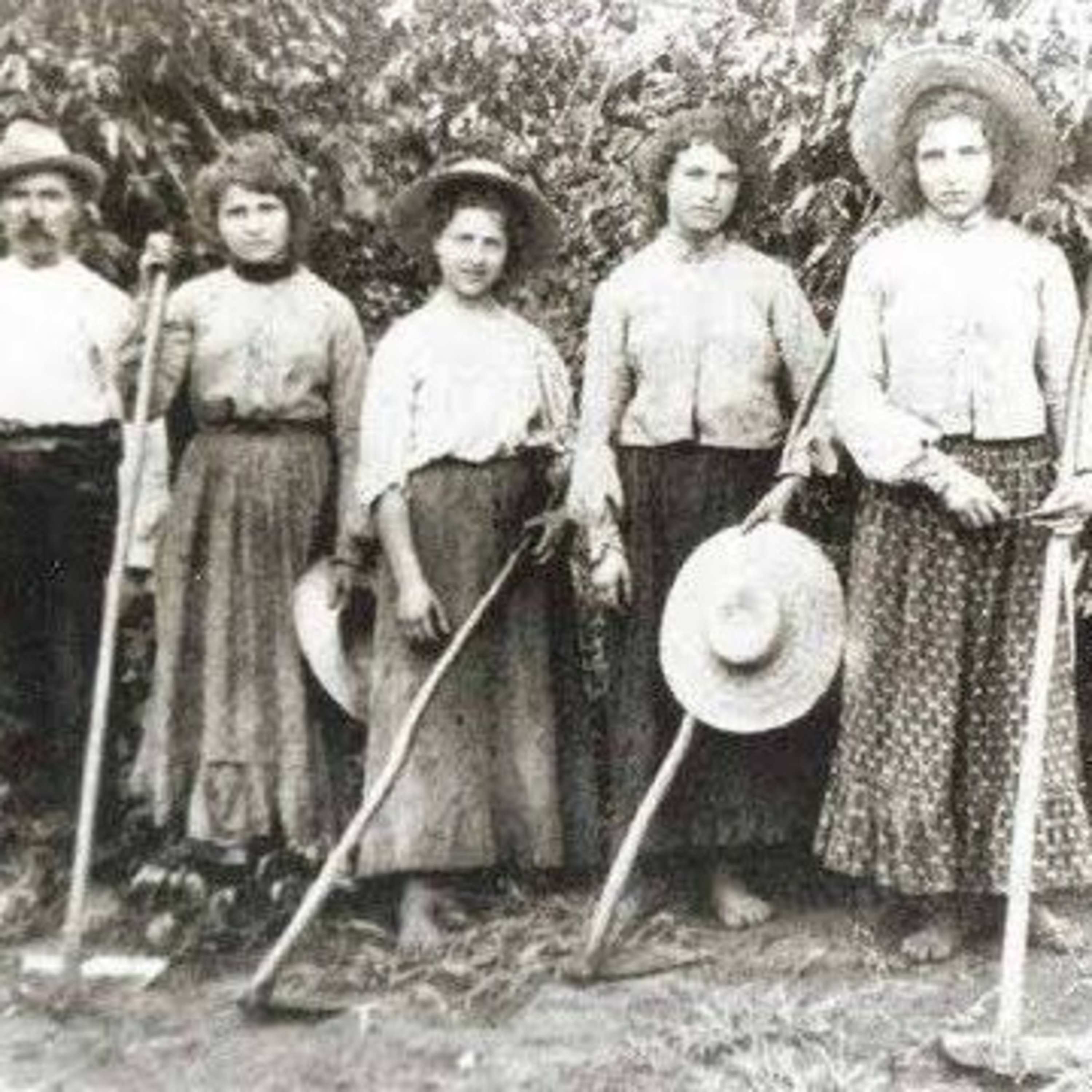 História Para Vestibulares