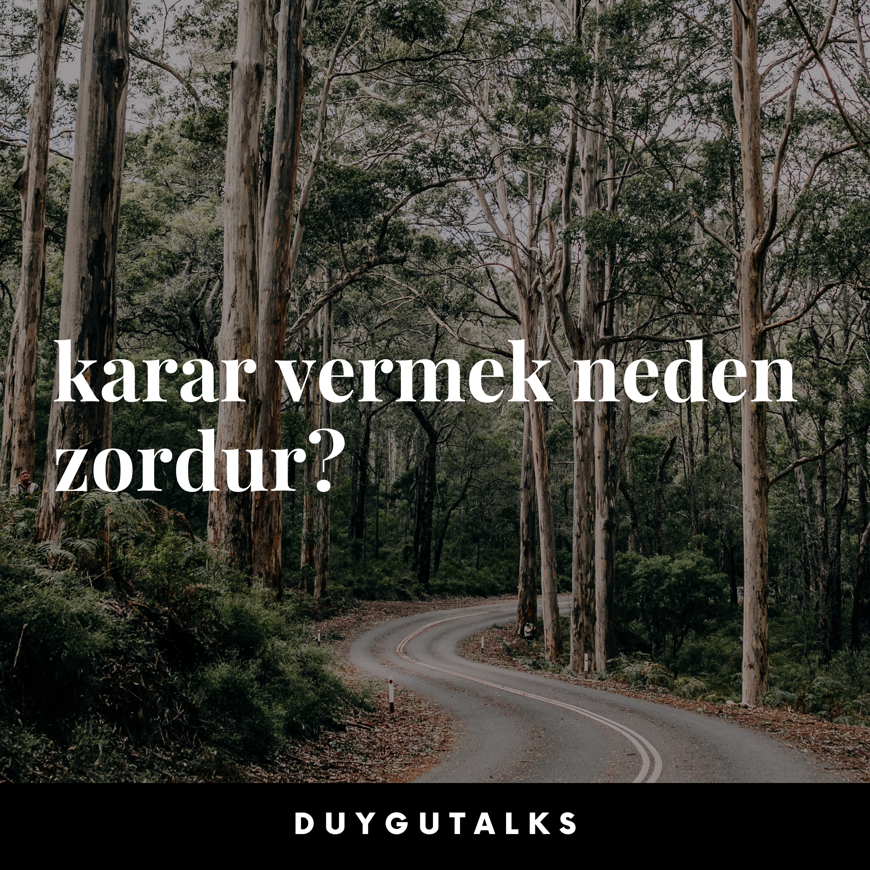 Duygu Talks