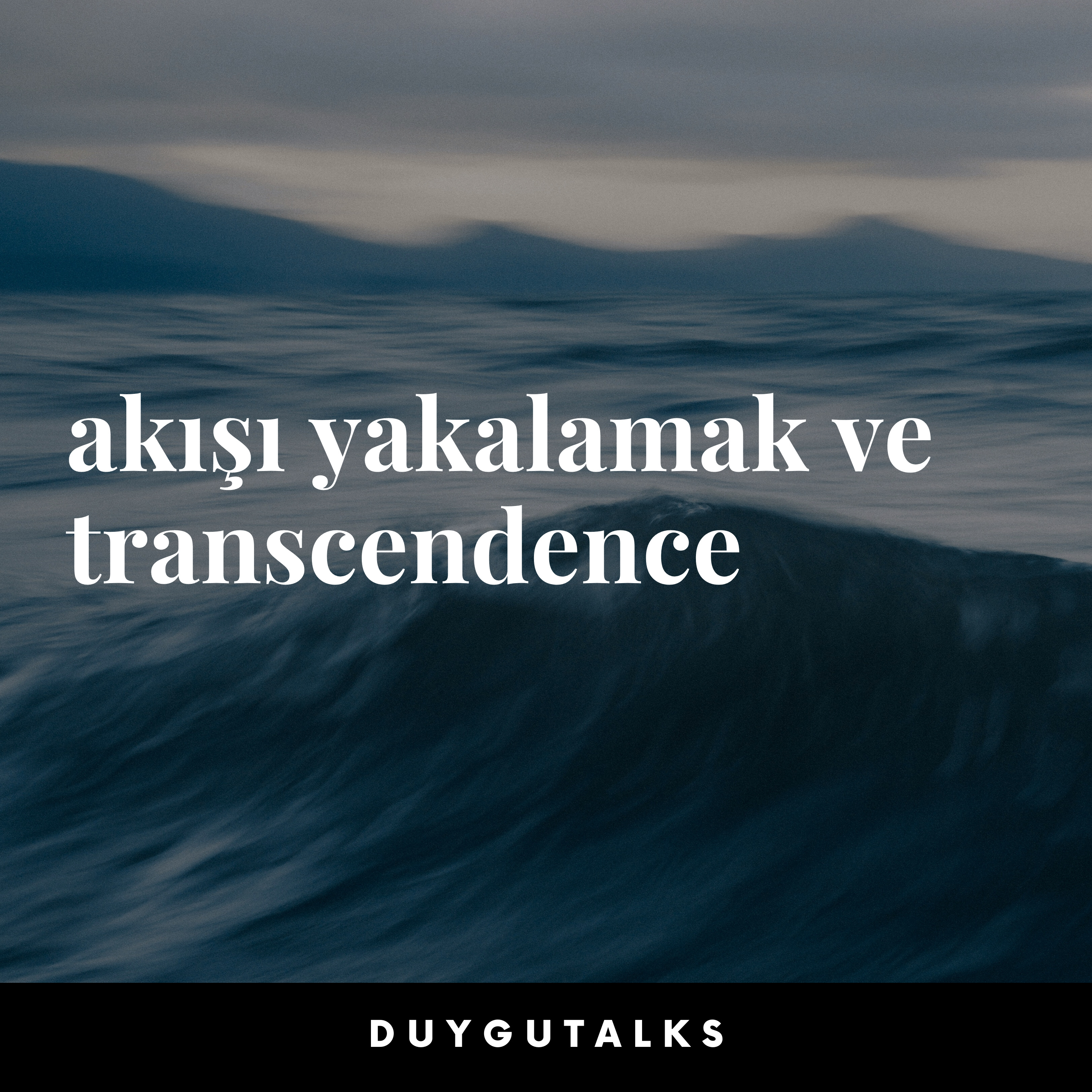 Duygu Talks
