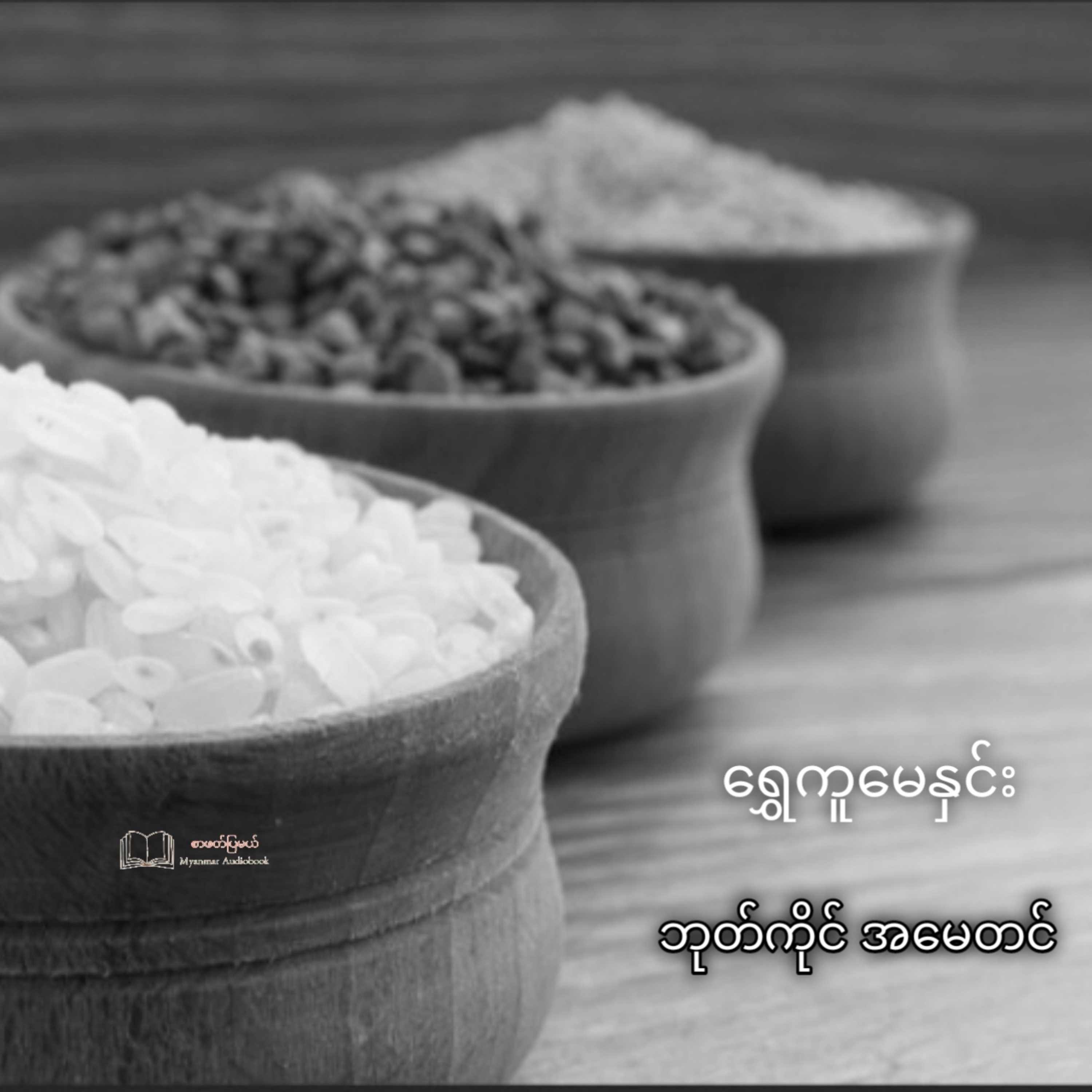 ရွှေကူမေနှင်း - ဘုတ်ကိုင် အမေတင်(ဝတ္ထုတို) episode artwork