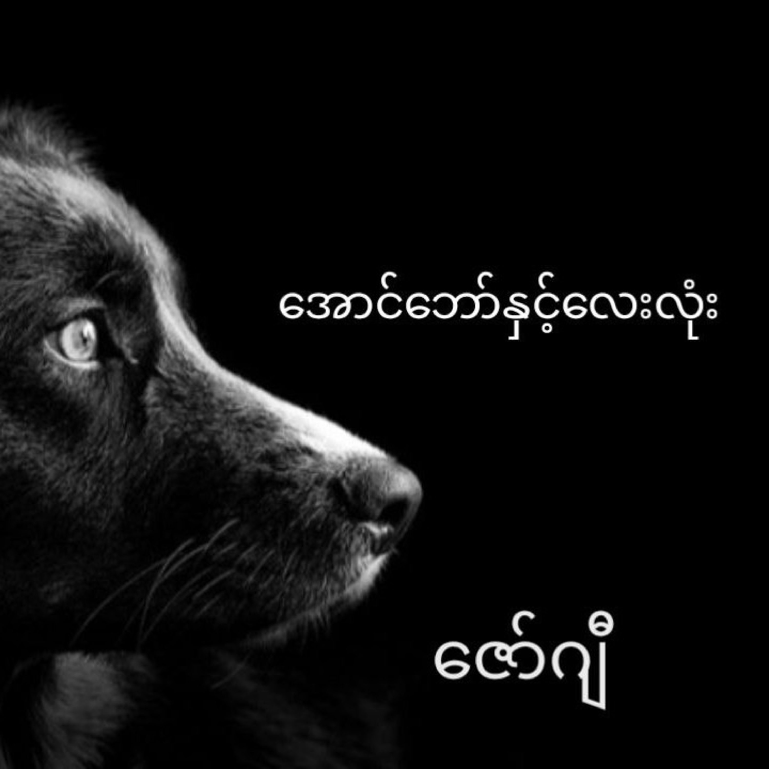 ဇော်ဂျီ - အောင်ဘော်နှင့်လေးလုံး (ဝတ္ထုတို) episode artwork