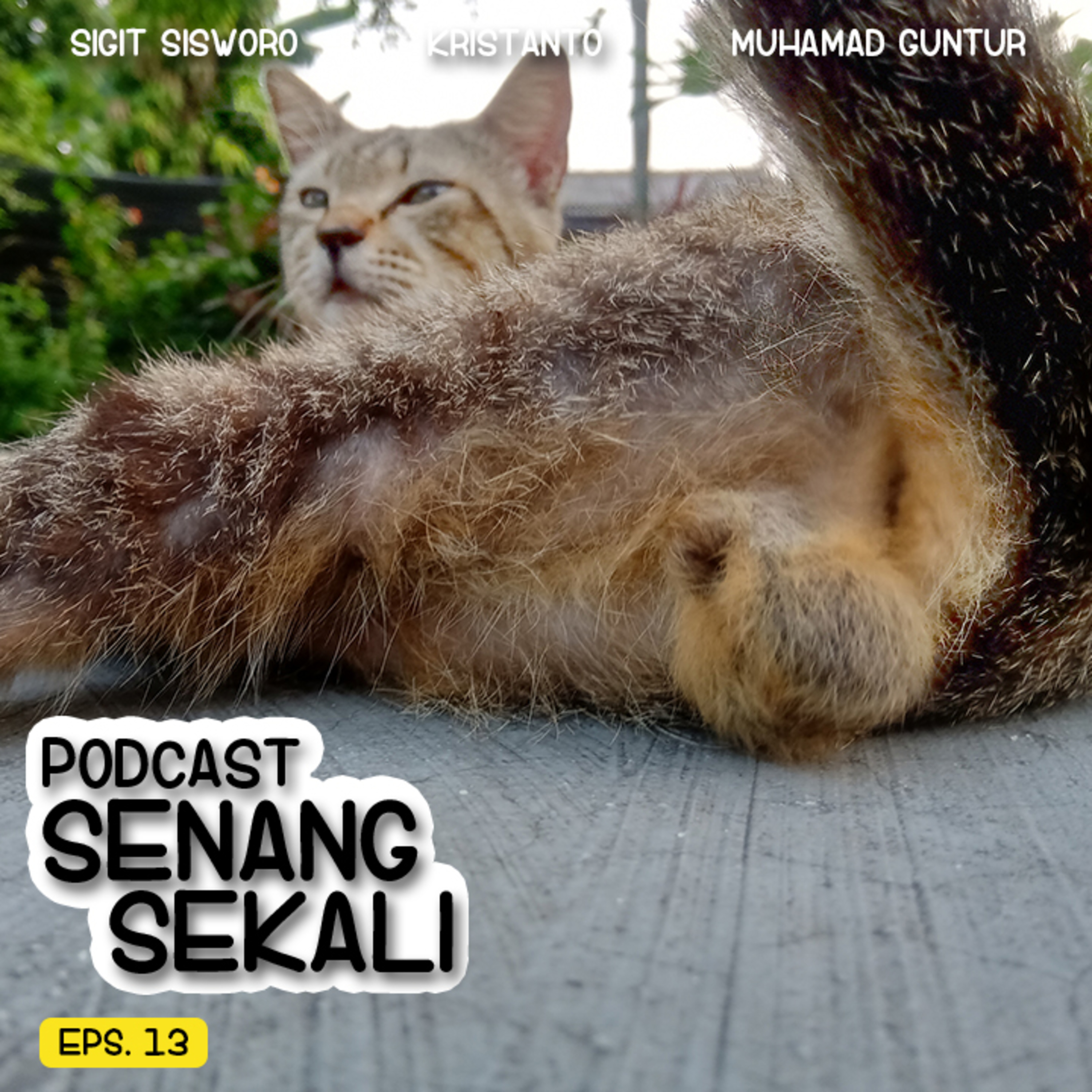 Senang Sekali