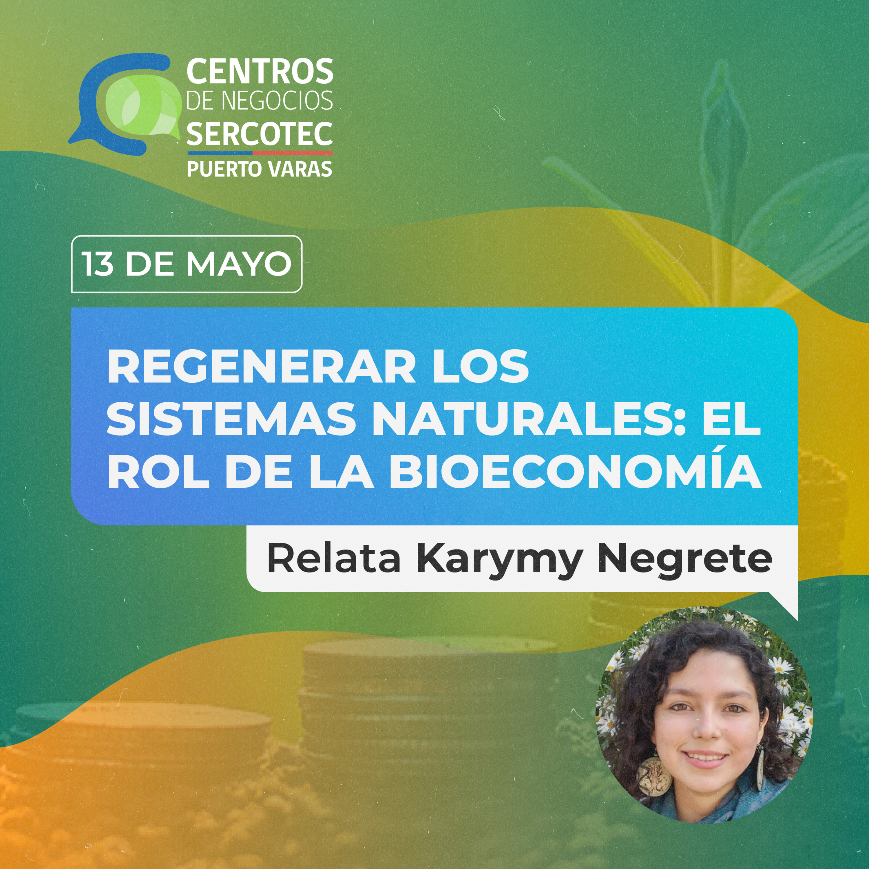 Centro de Negocios Sercotec Puerto Varas