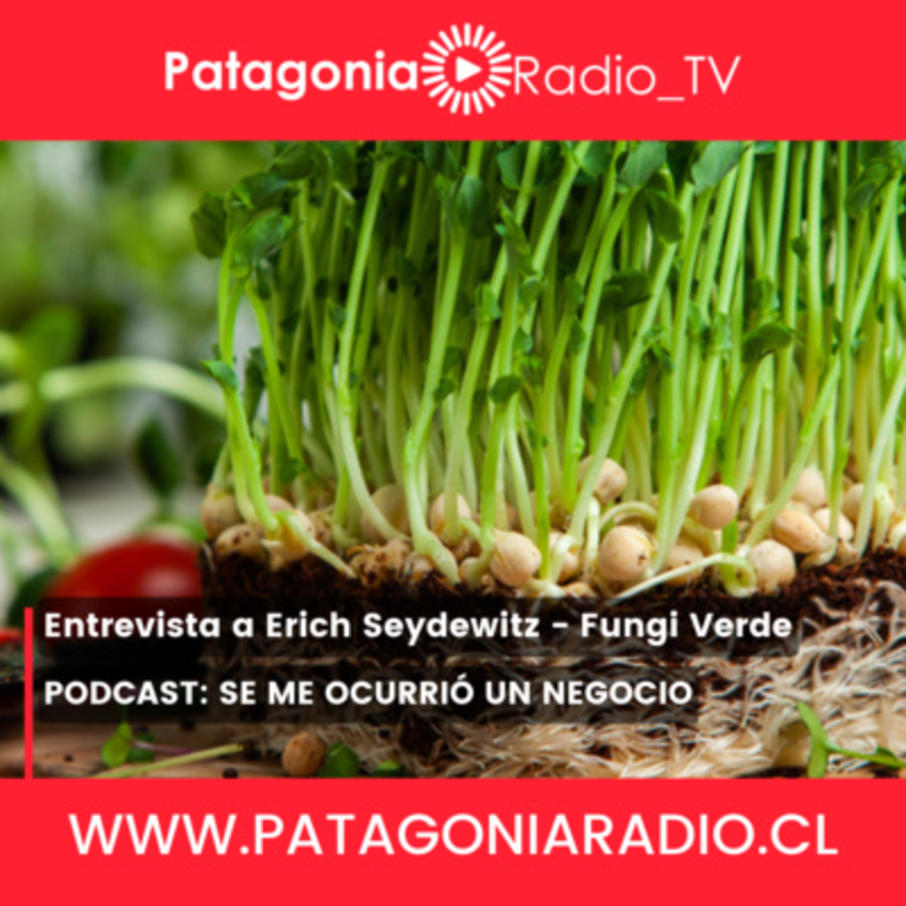Centro de Negocios Sercotec Puerto Varas