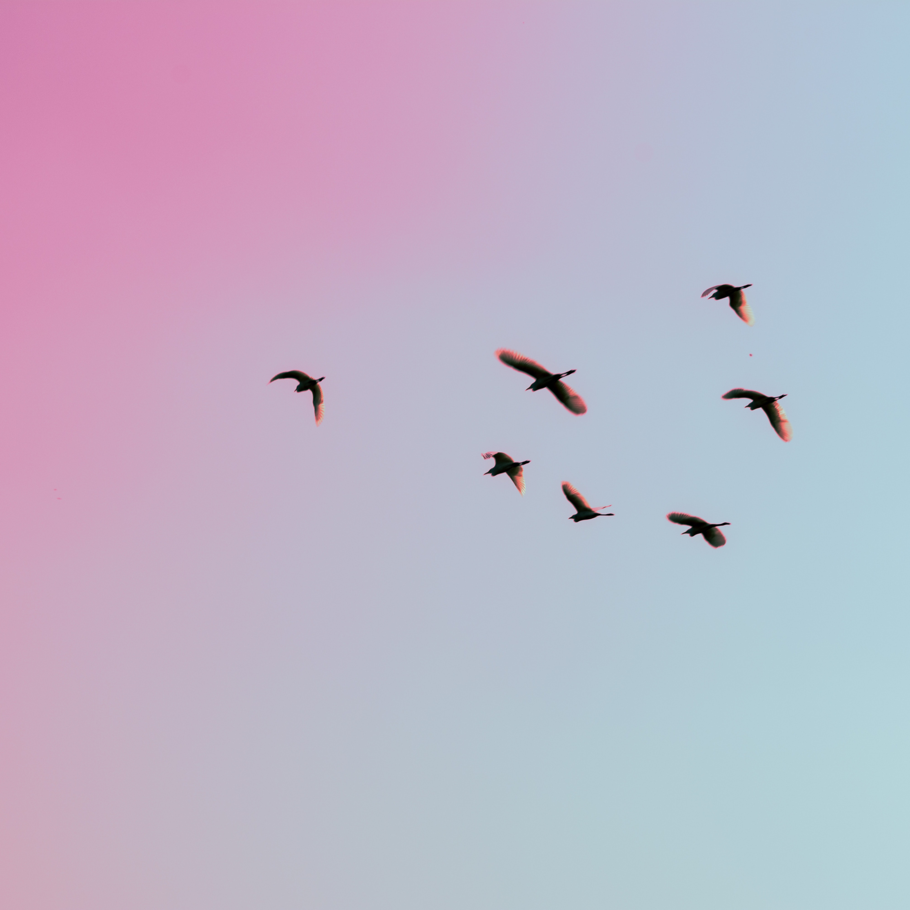 9. Ev