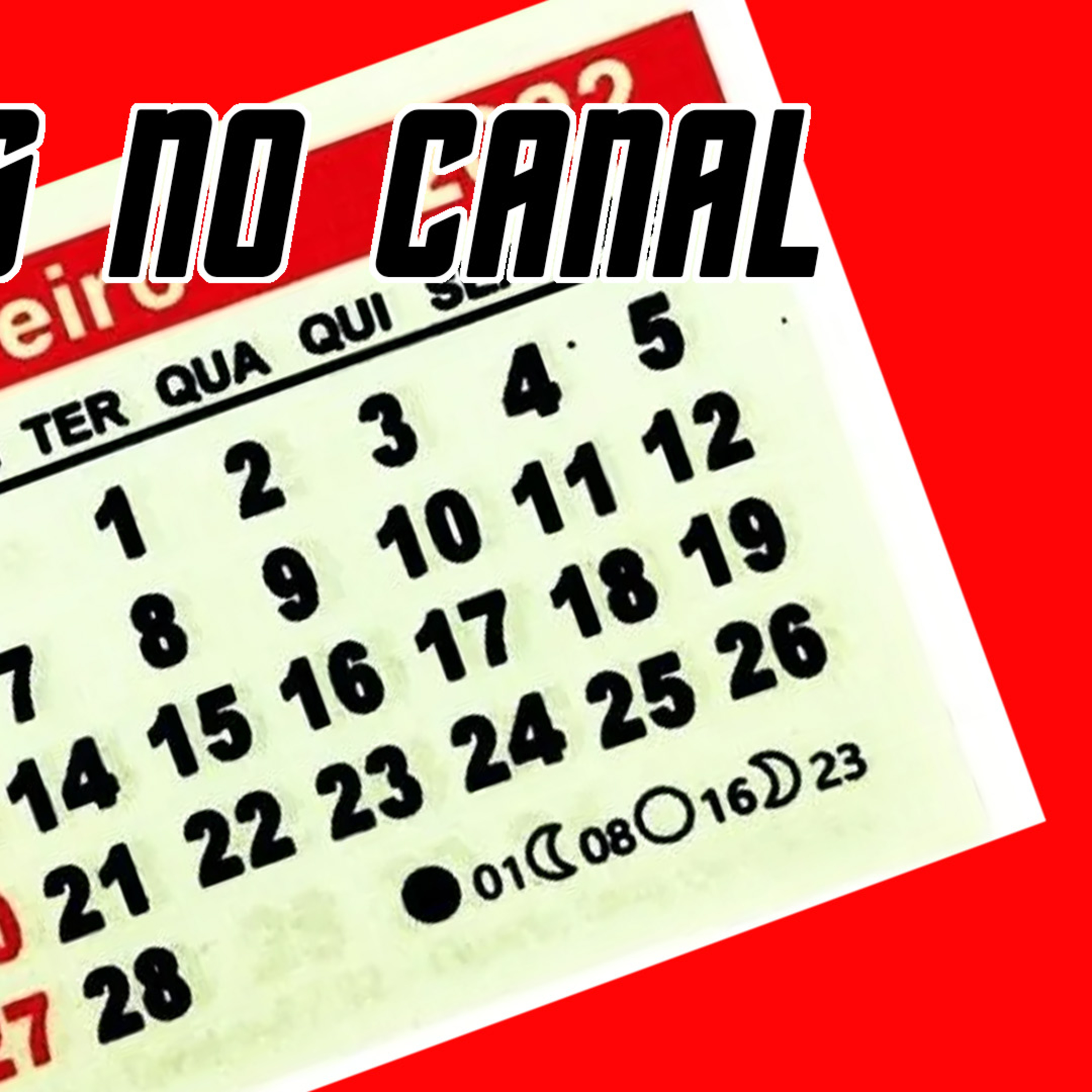 Cultura Doida