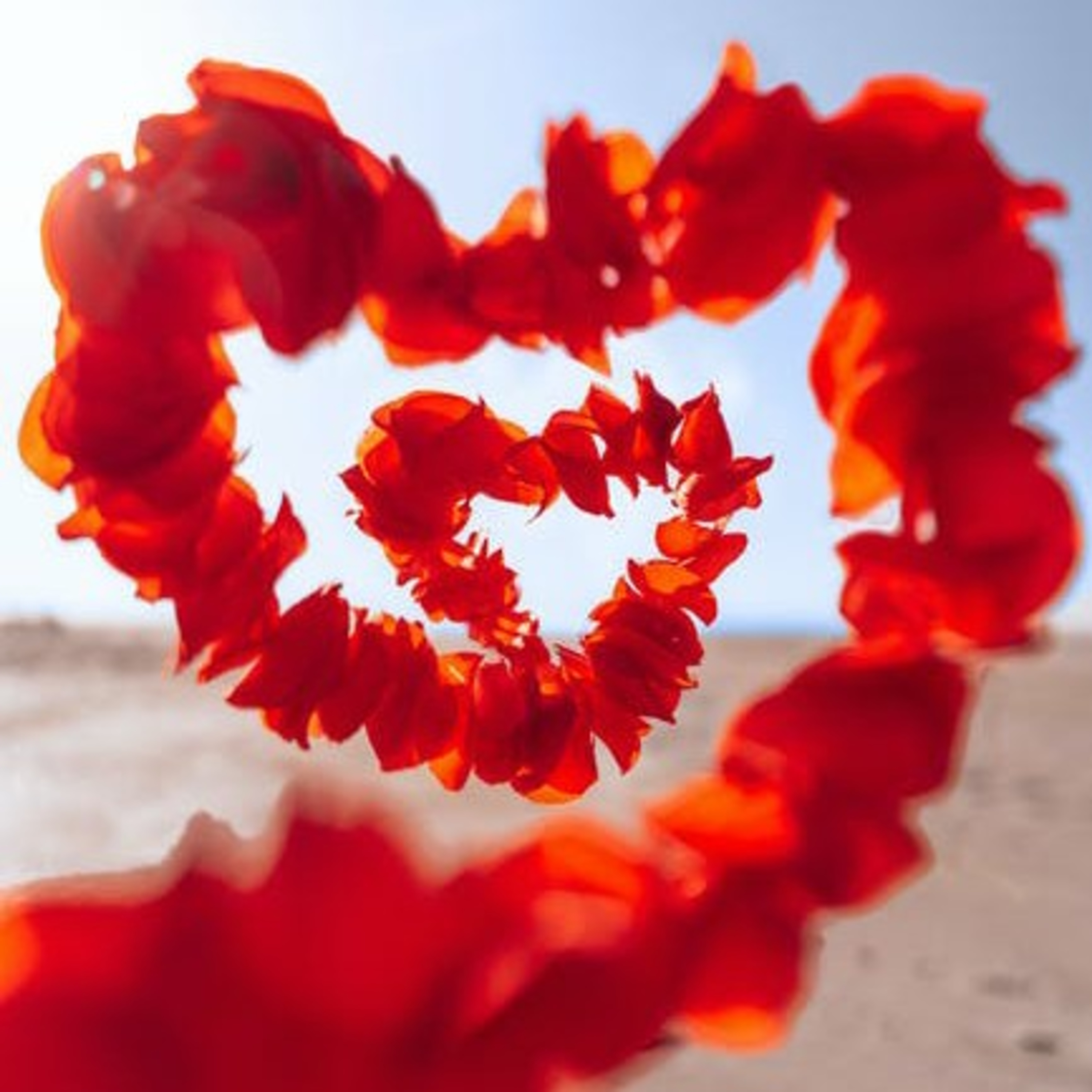 Love For Love