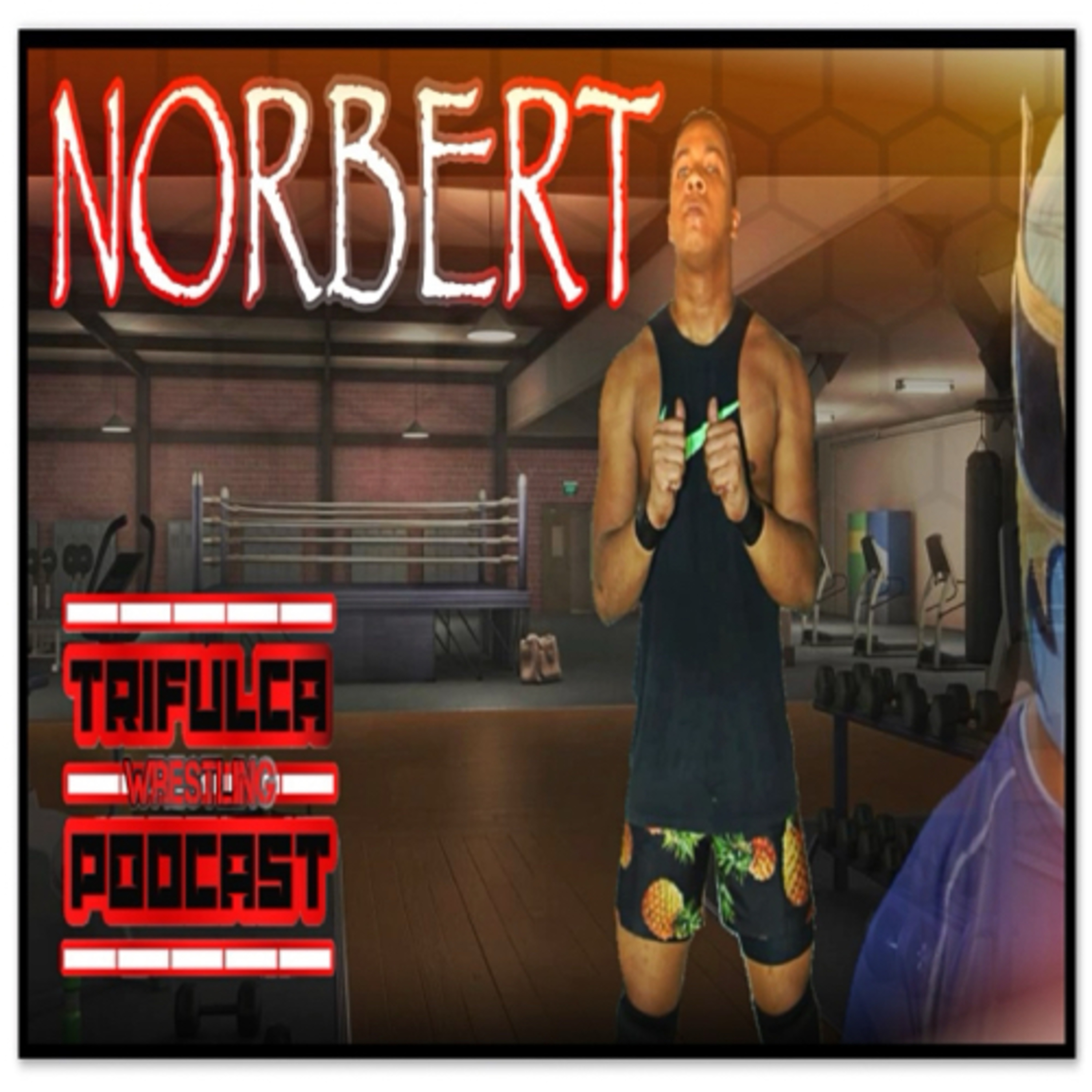 Norbert “La Estrella” : Con Respeto Y Dedicación Se Logra El Exito  episode artwork