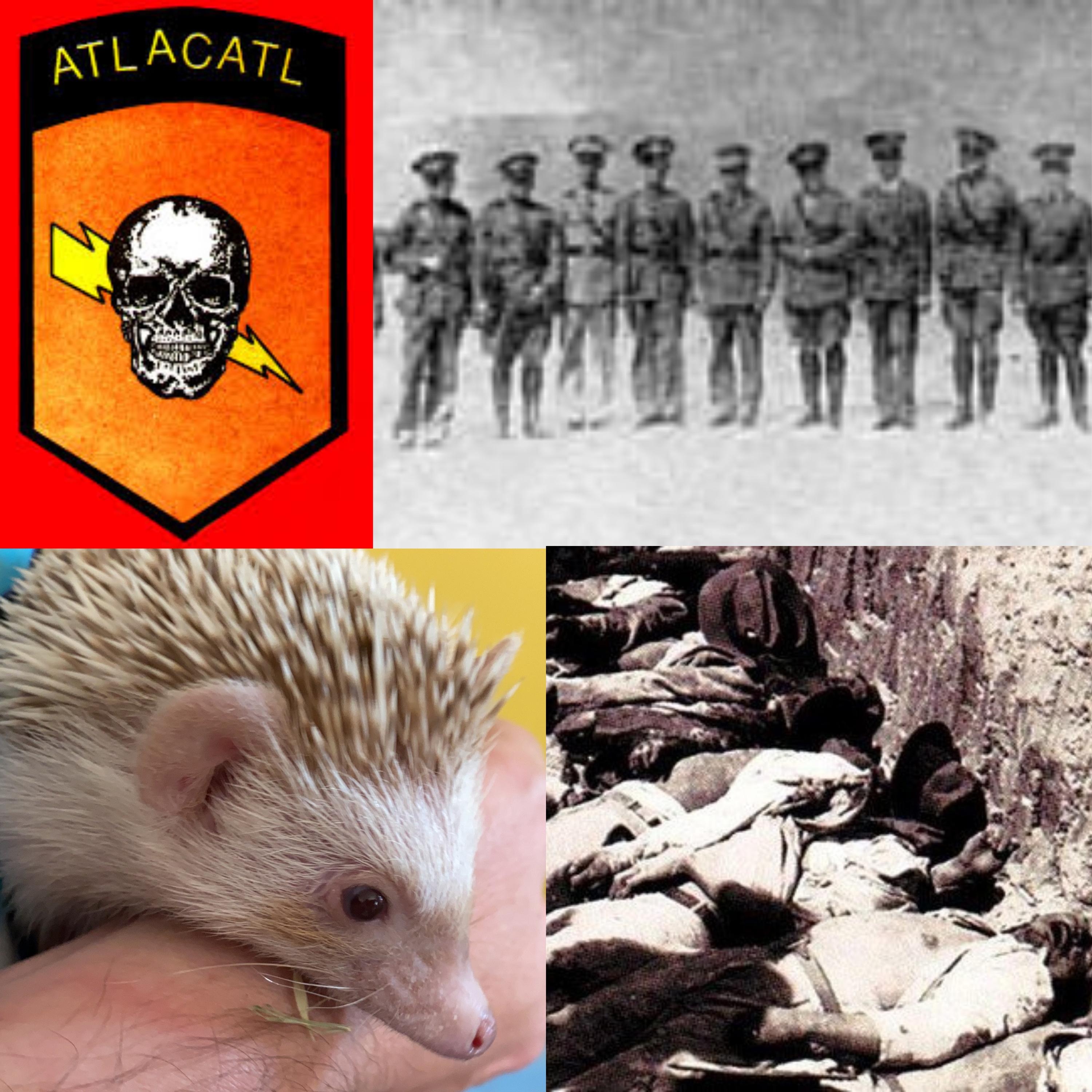 History forgives but we don’t