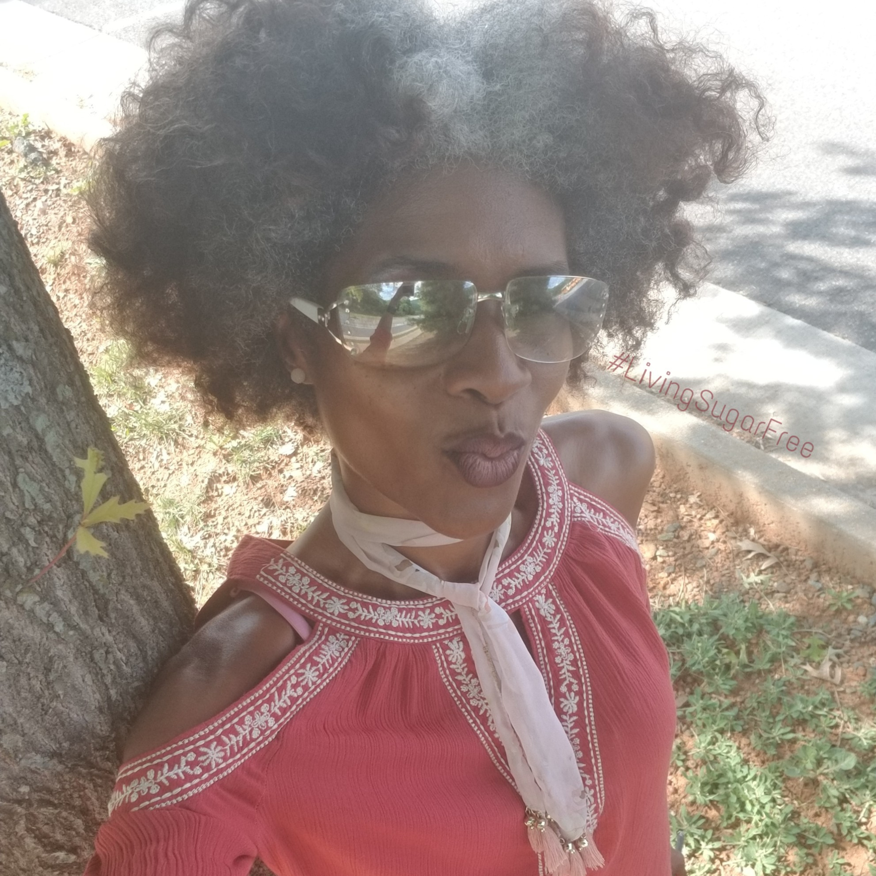 The LivingSugarFree Lifestyle