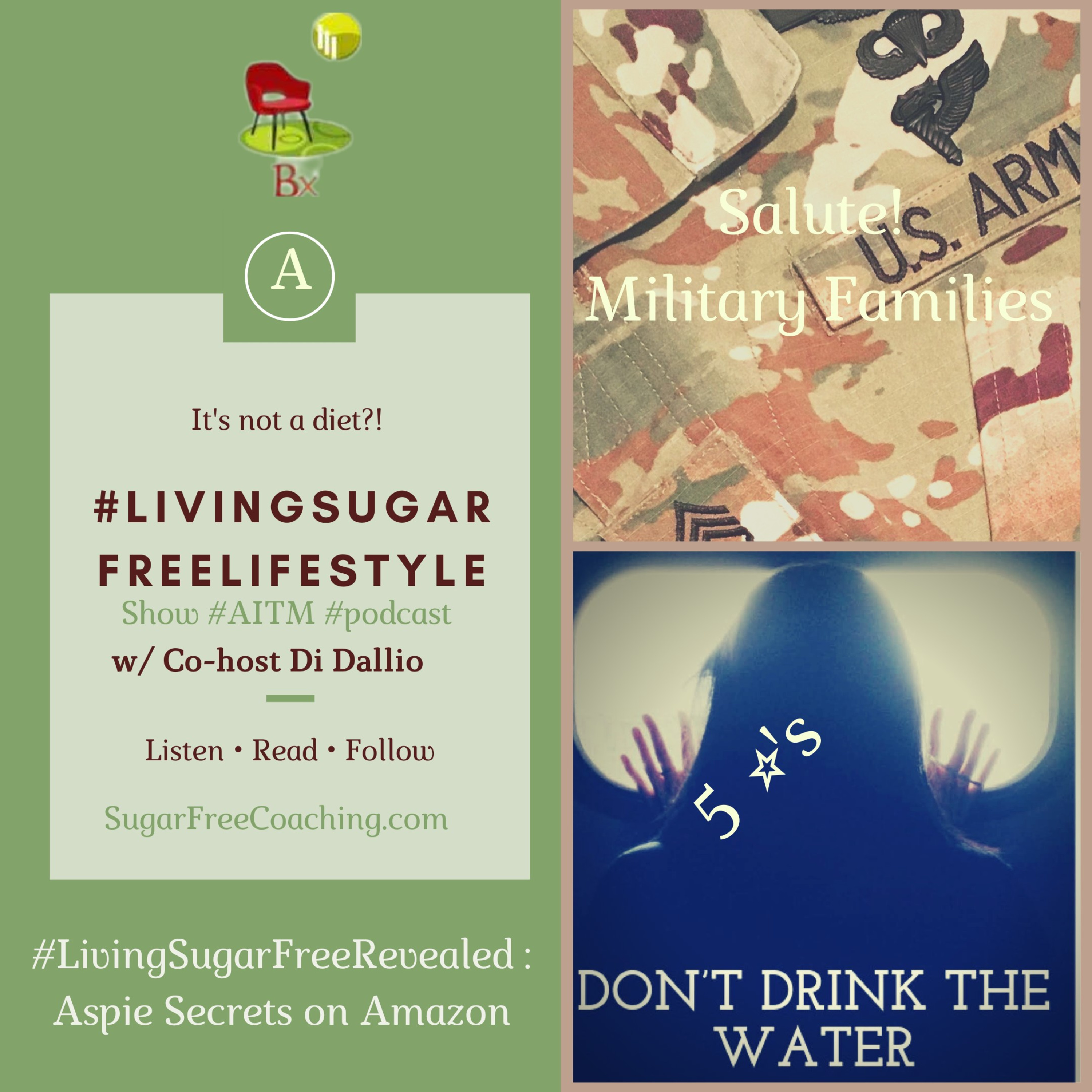 The LivingSugarFree Lifestyle