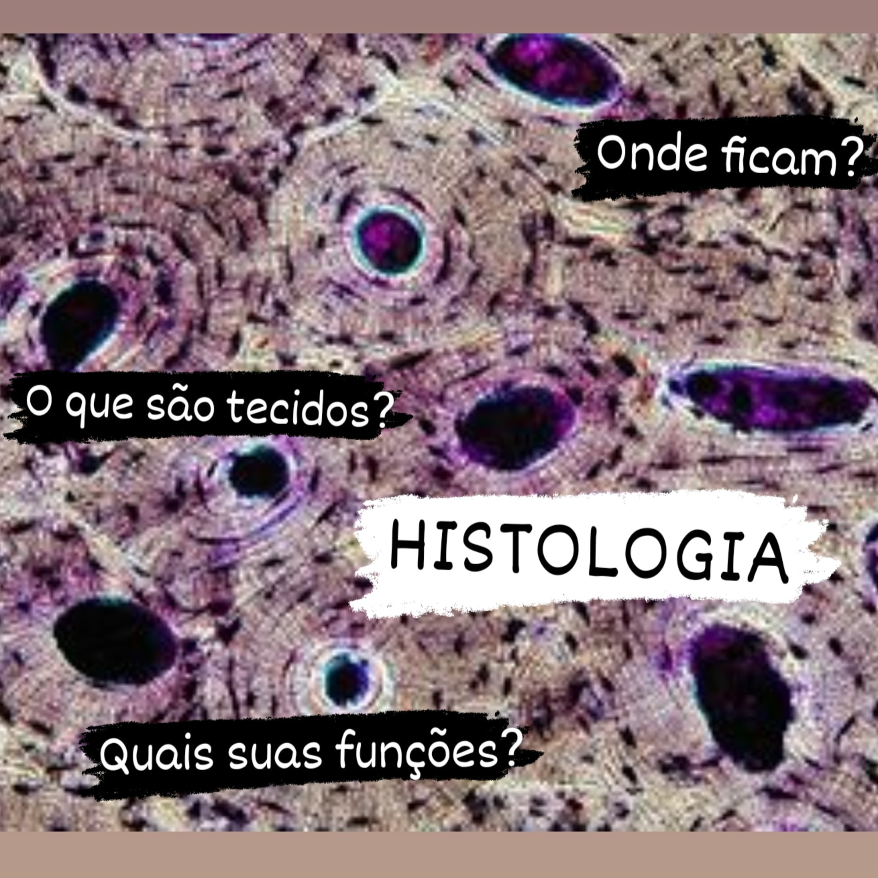 Conhecimentos gerais histológicos  episode artwork