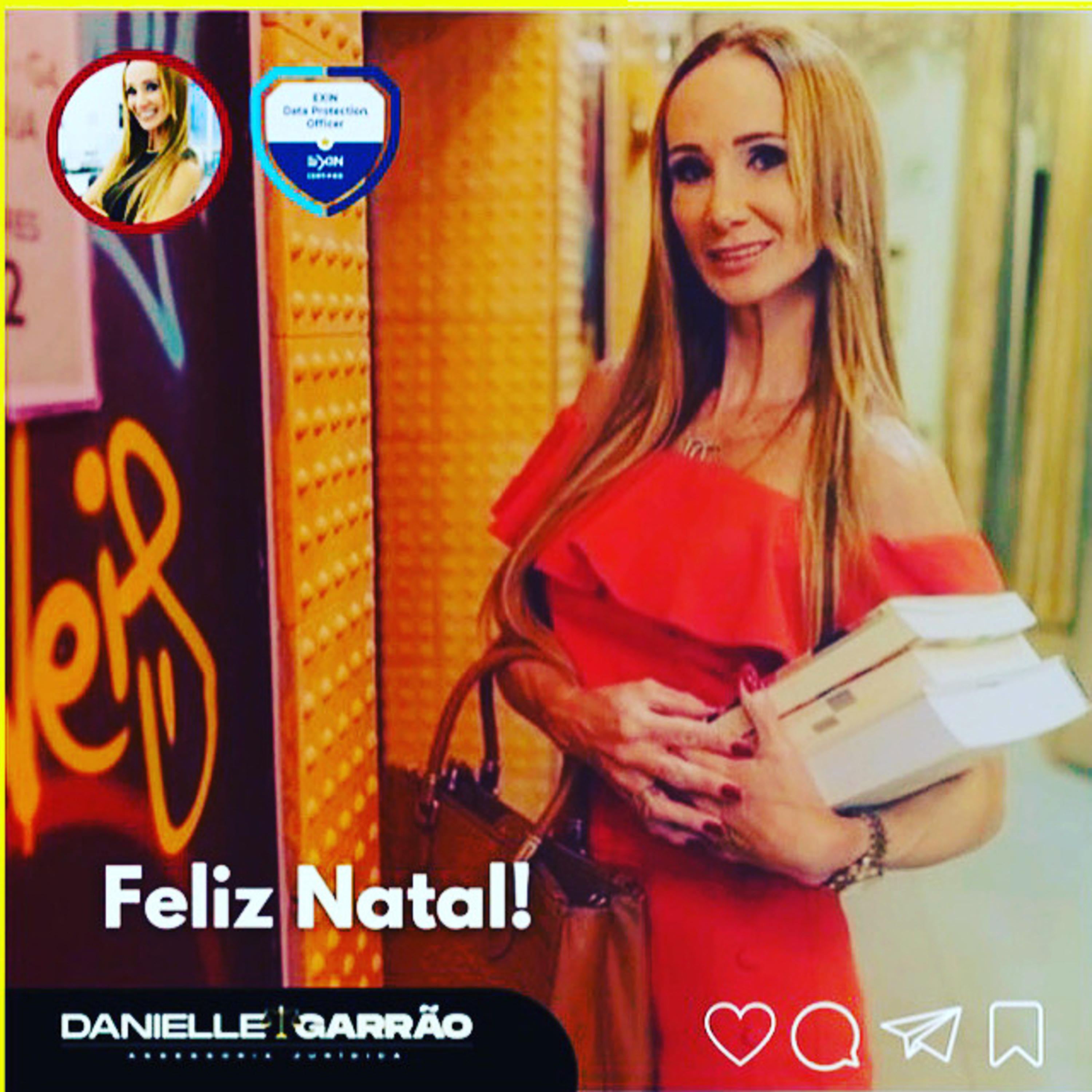 Conceitos básicos LGPD Danielle Garrão