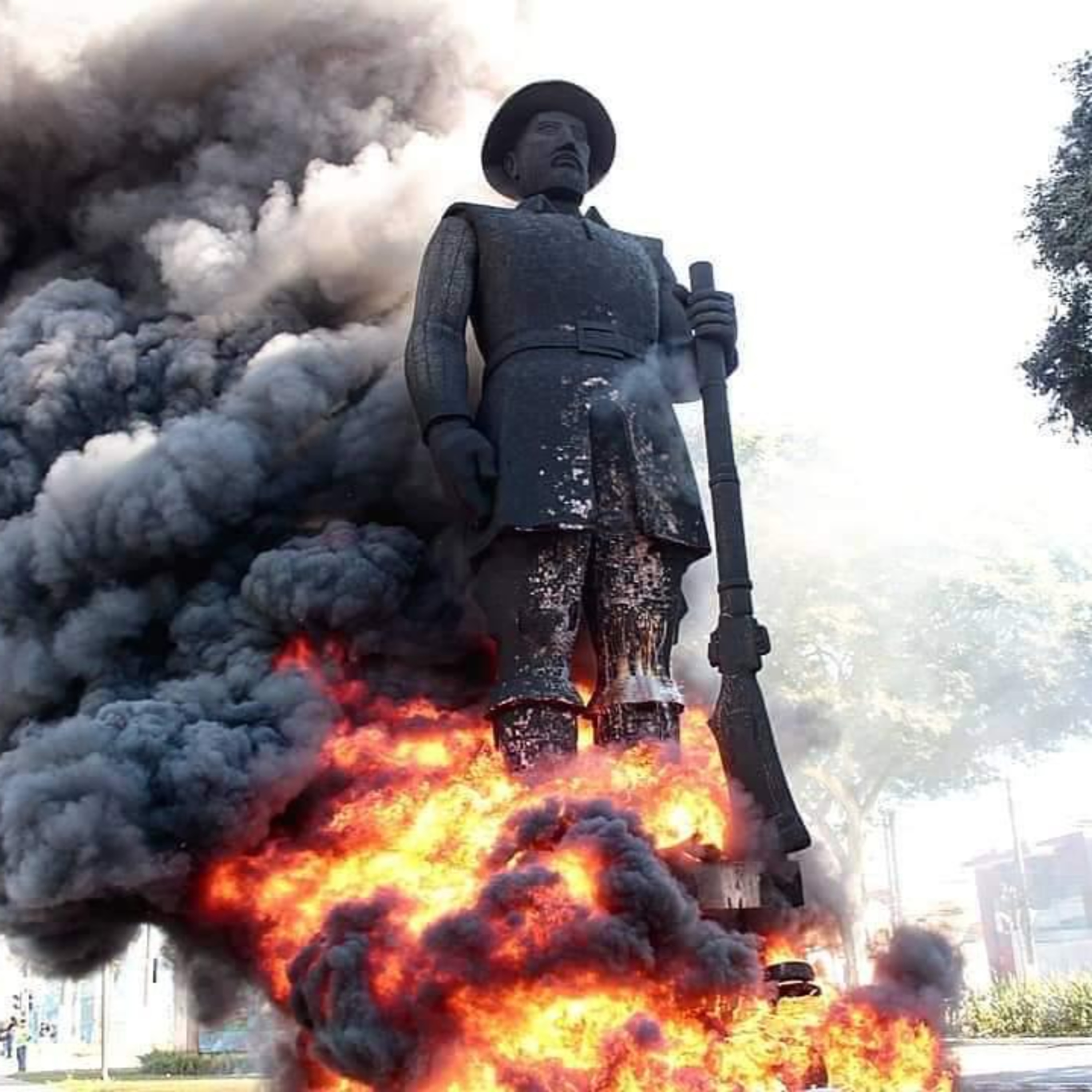 Imagens em Foco